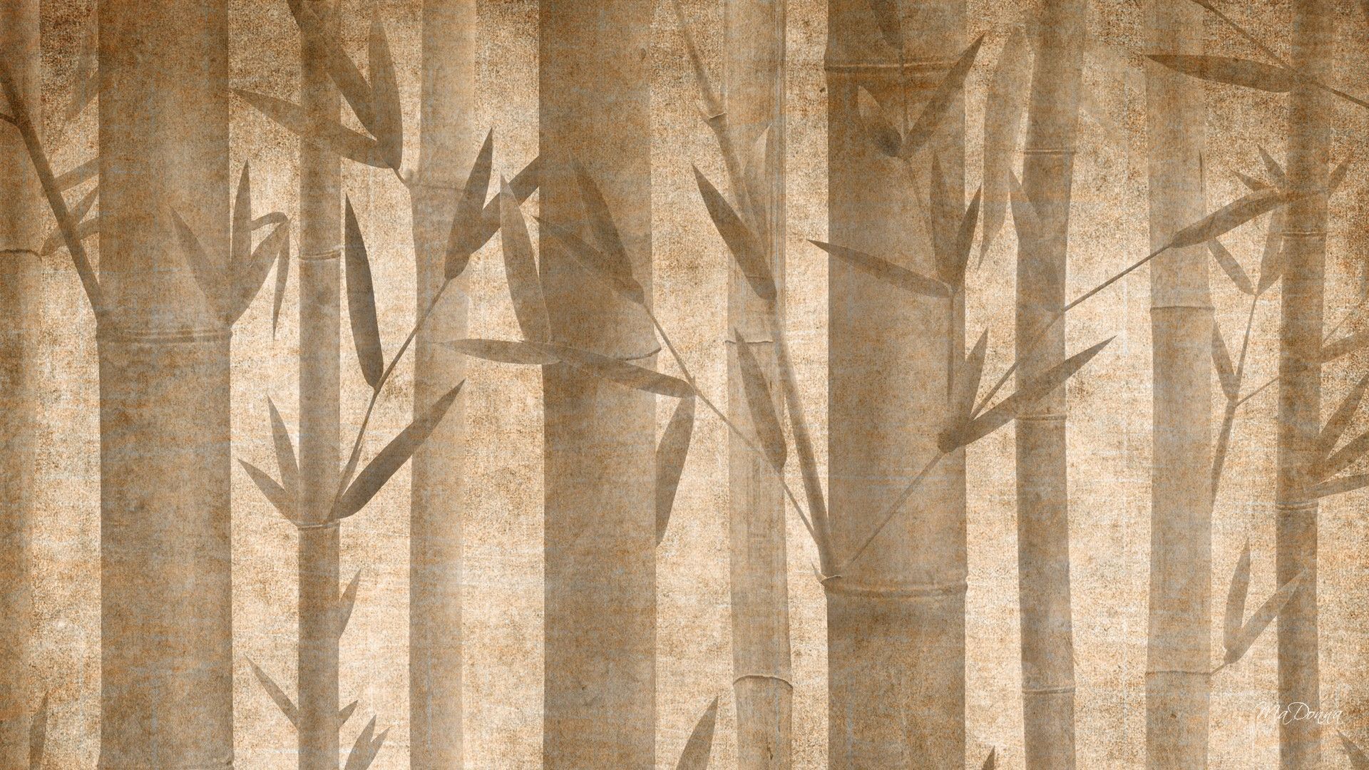 Rain Drops Wallpaper HD #050 » Nature Wallpaper Sakselone.com