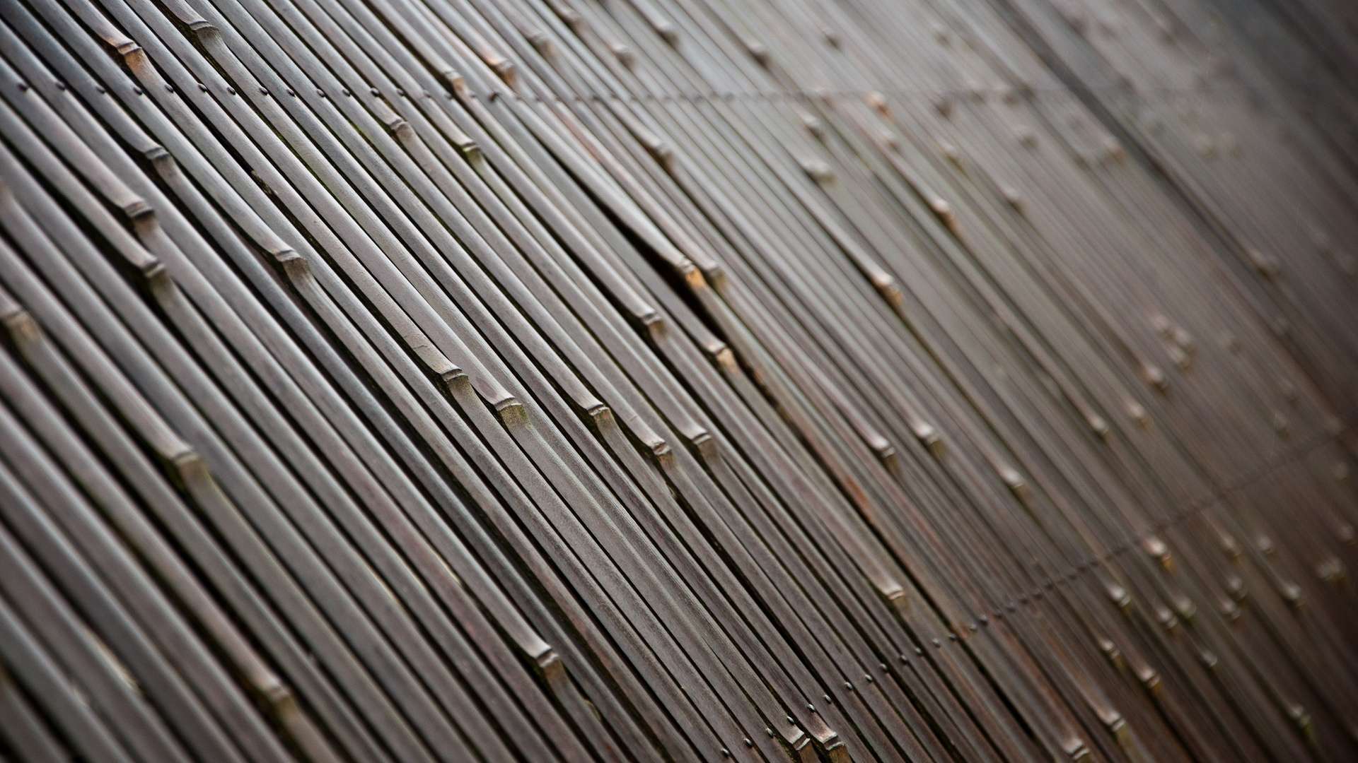 texture-bamboo-fence-hd-wallpaper-1080p.jpg