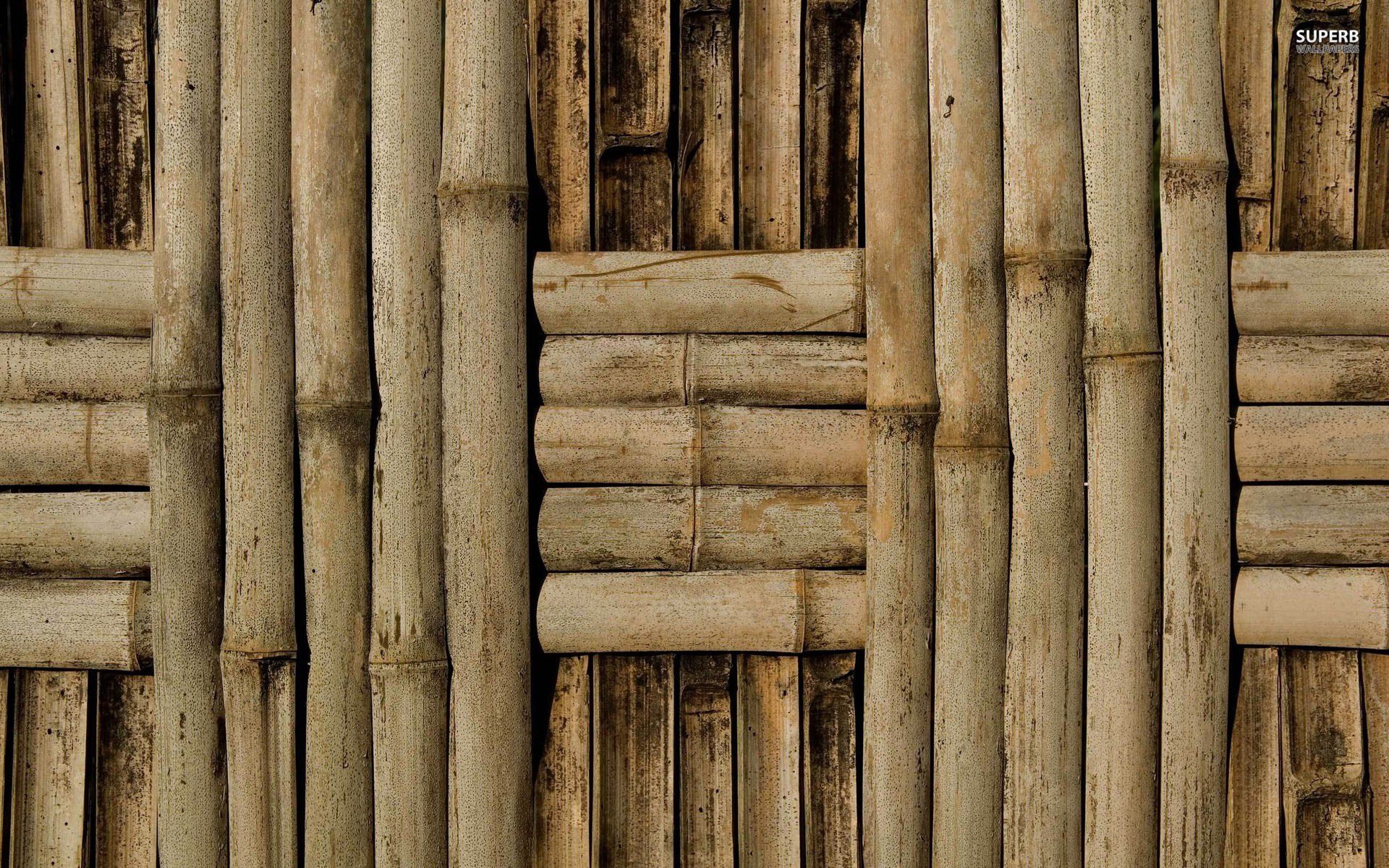 Bamboo wallpaper - Artistic wallpapers - #5263