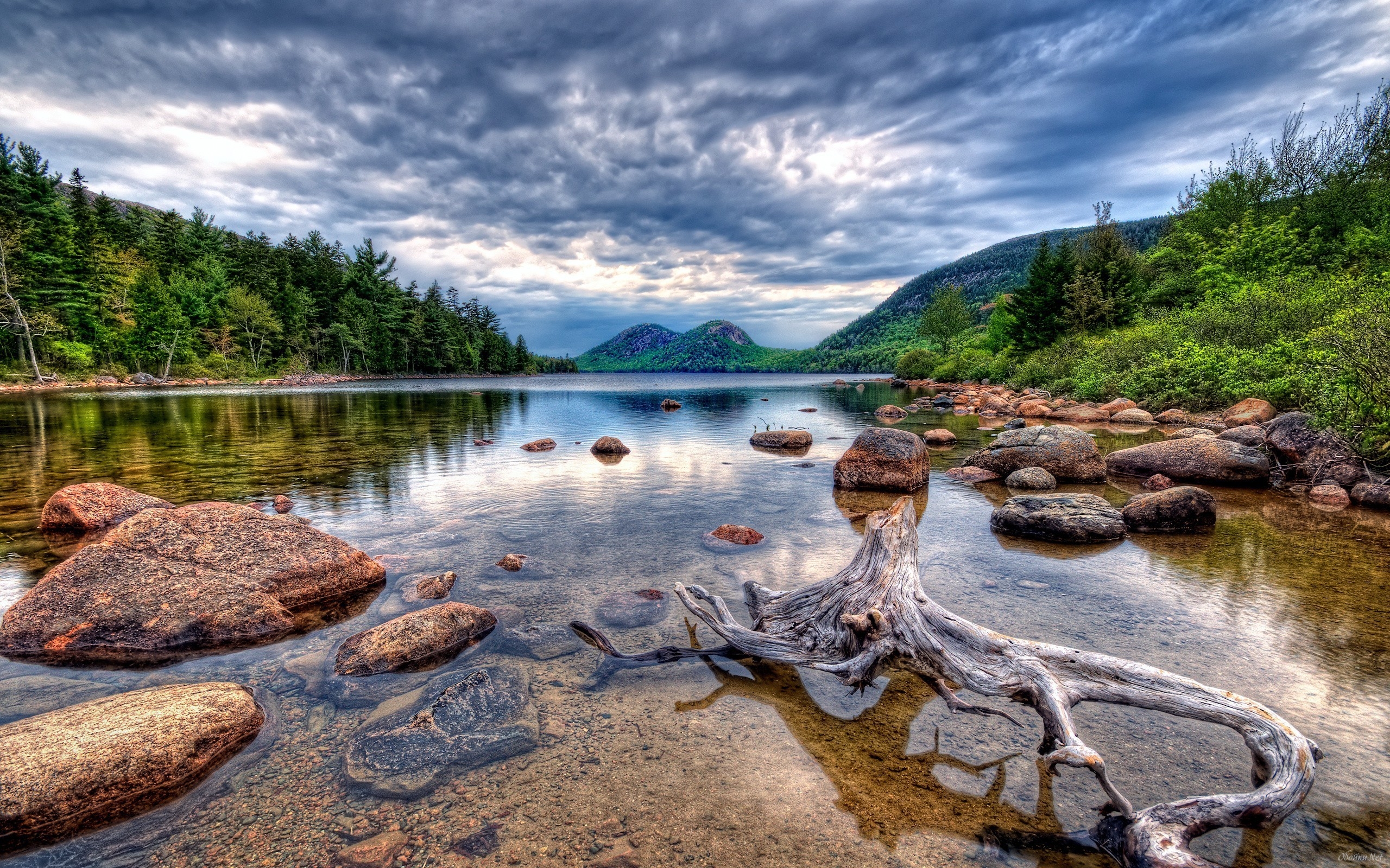 Snag lies in the pure mountain lake HD Desktop Wallpaper | HD ...