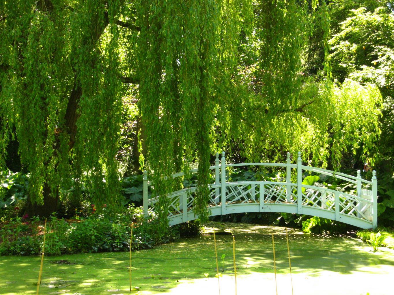 Green garden - (#96105) - High Quality and Resolution Wallpapers ...