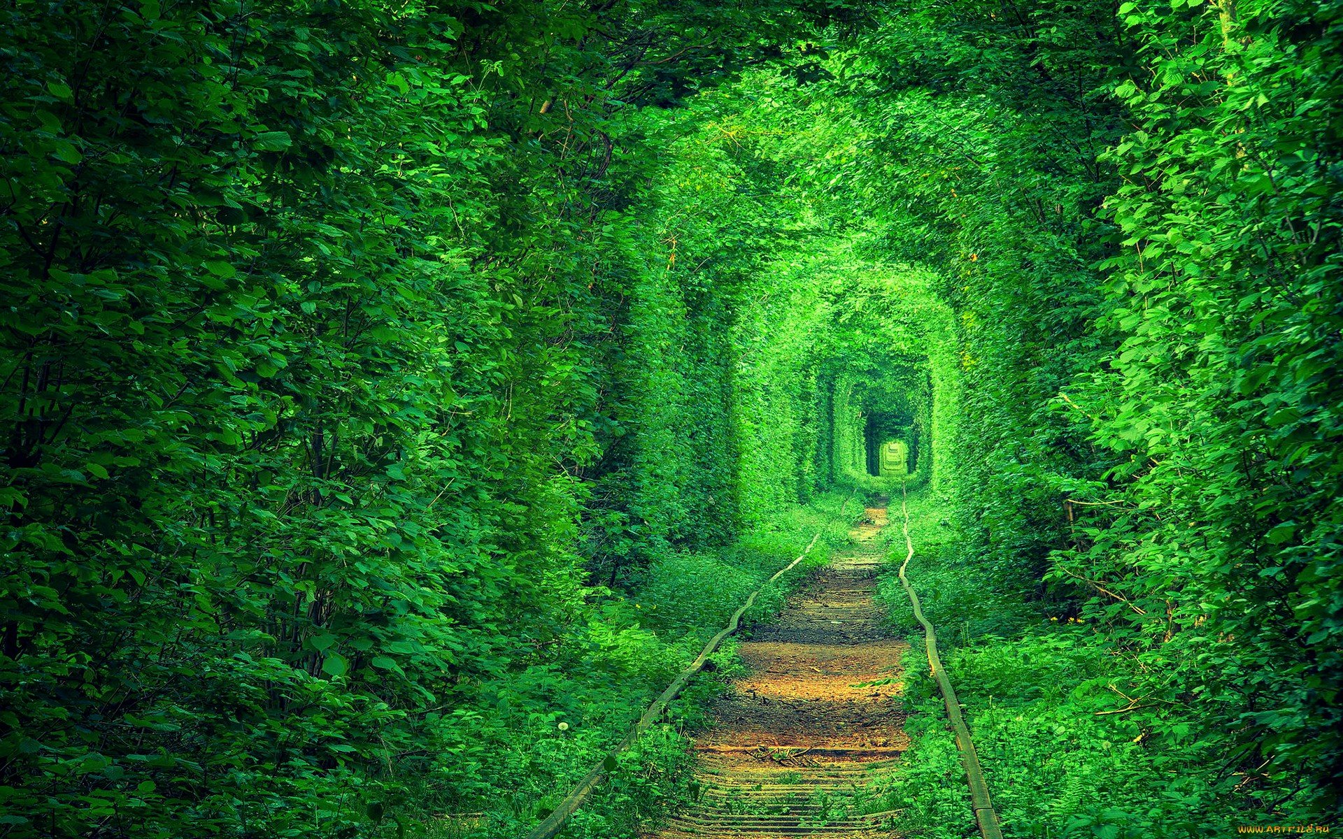 Tunnel green rails road garden wallpaper | 1920x1200 | 442254 ...