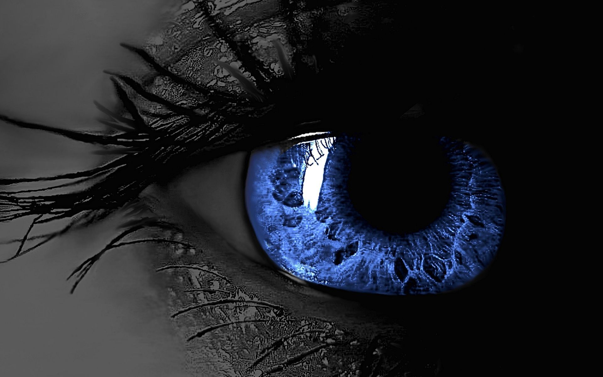 Download 3D Blue Eyes Wallpaper HD For Desktop 44 Full