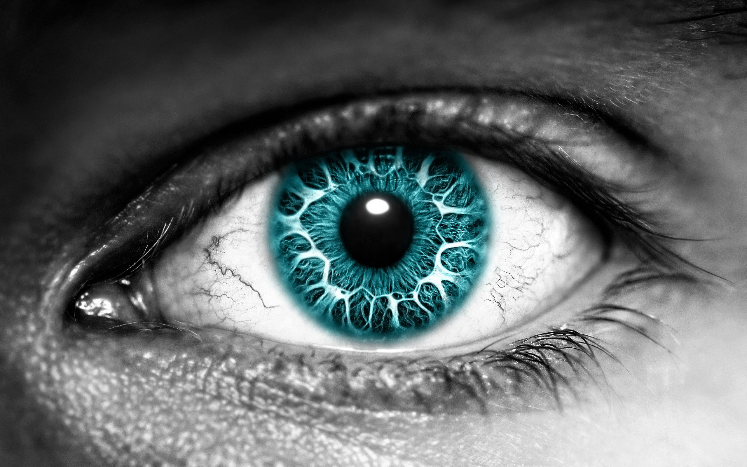 Worlds most beautiful eyes Interesting facts