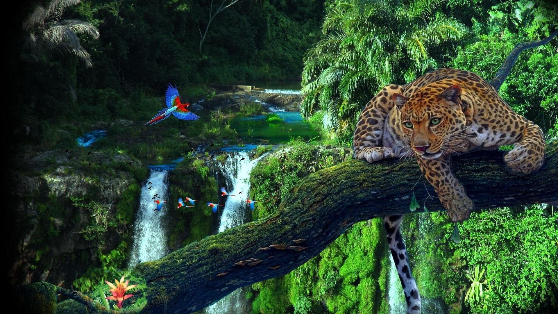Amazon Rainforest Wallpaper HD Download For Desktop