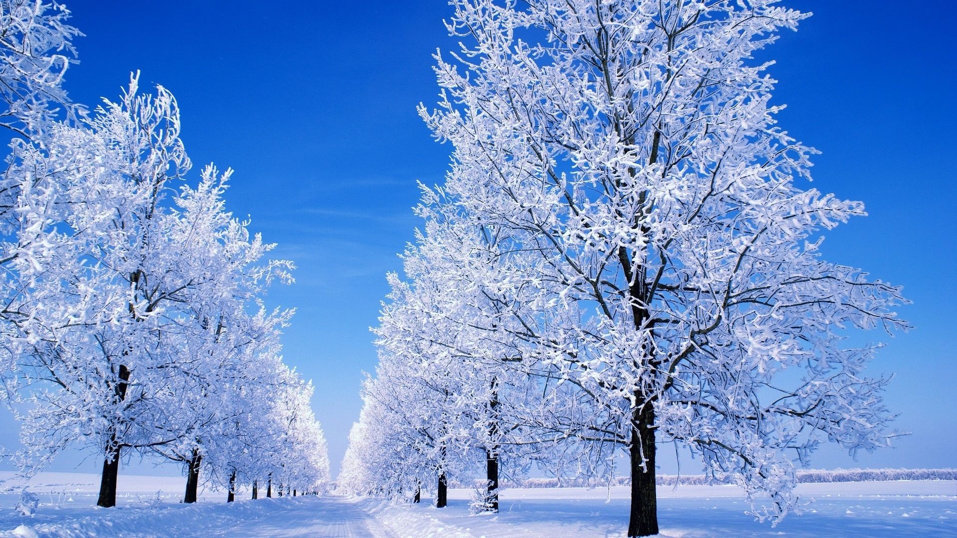 Winter Scenes Desktop Wallpaper, Winter Scenes Backgrounds Cool