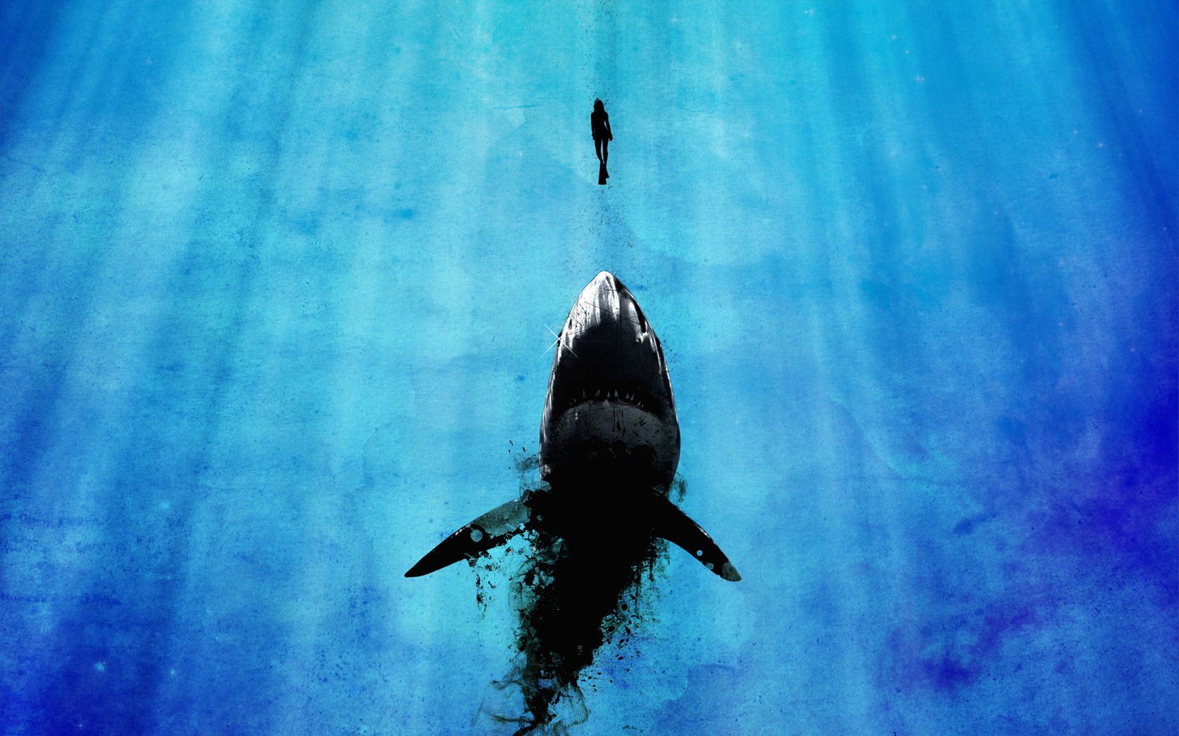 Watch Out For Sharks High Definition Widescreen Wallpapers Your ...
