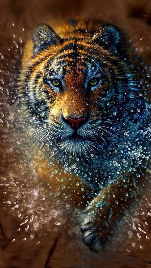 Wild Tiger Wallpapers Group