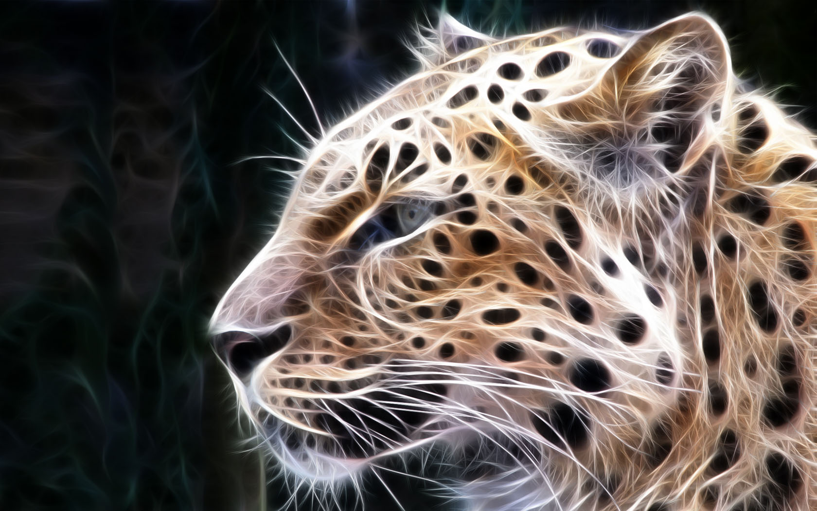 Wild animals wallpapers free download 4