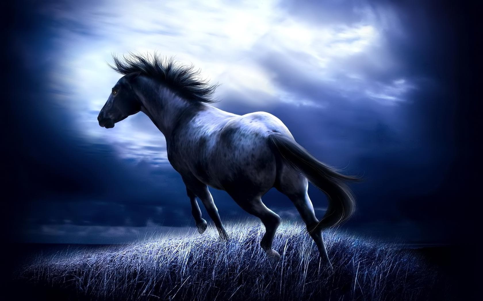 Free Horse Screensavers And Wallpapers - Wallpaper Cave