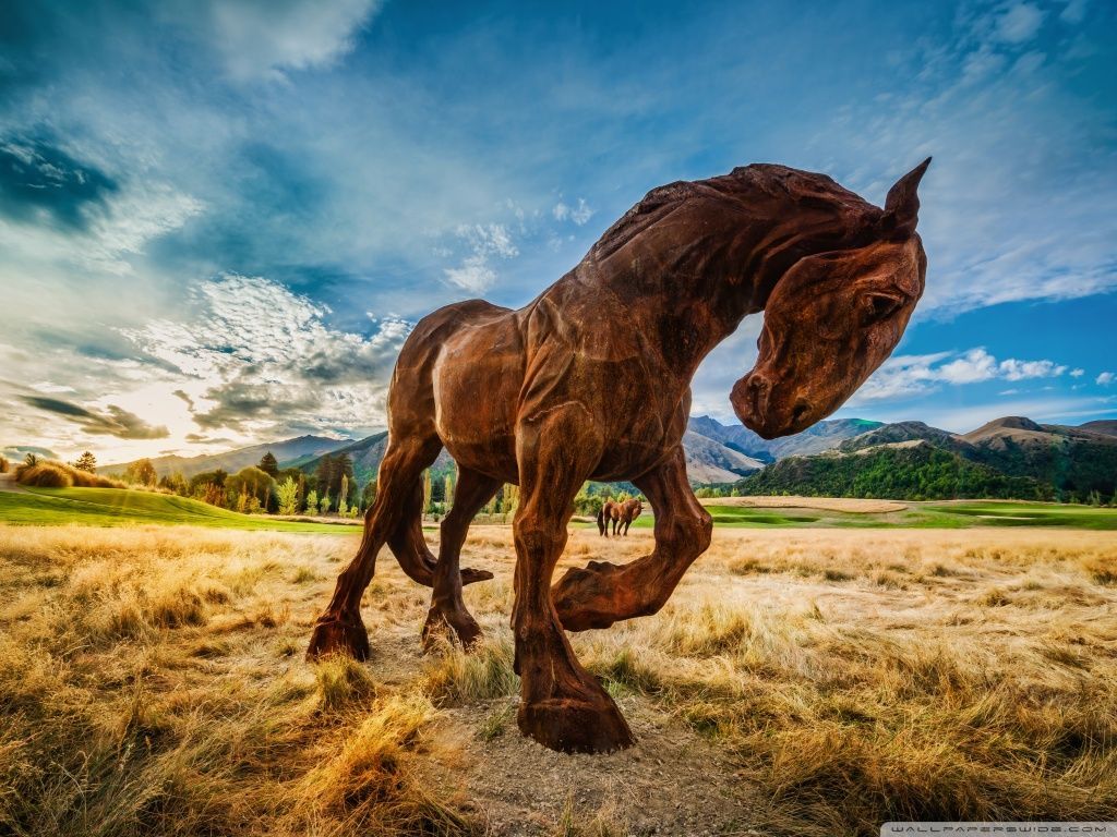 Wild Horse HD desktop wallpaper Widescreen High Definition