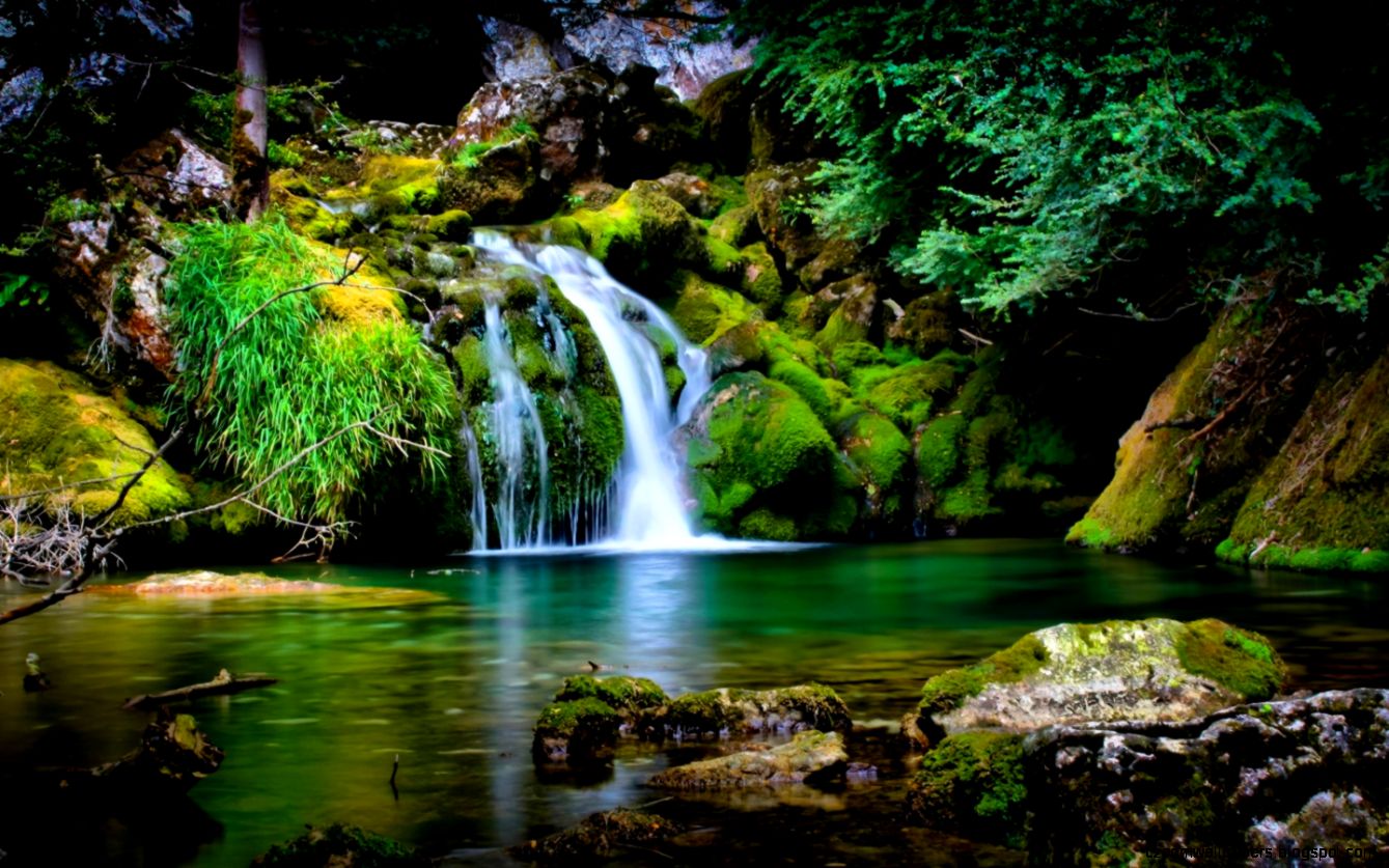 Nature Wallpaper For Windows 7 Free Download Zoom Backgrounds
