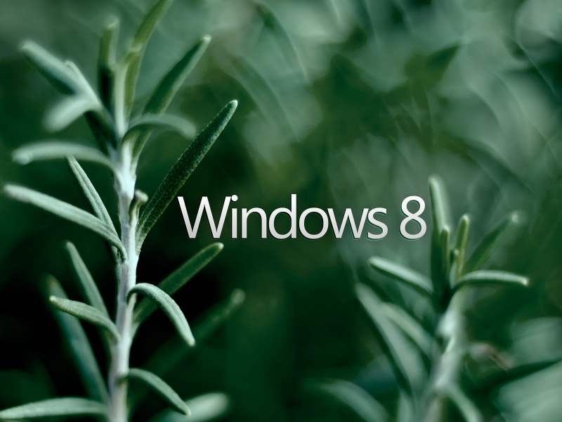 Windows 8 Green Wallpapers