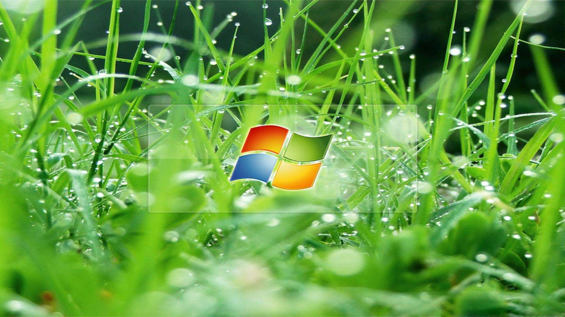 3d animated desktop wallpapers for windows 8