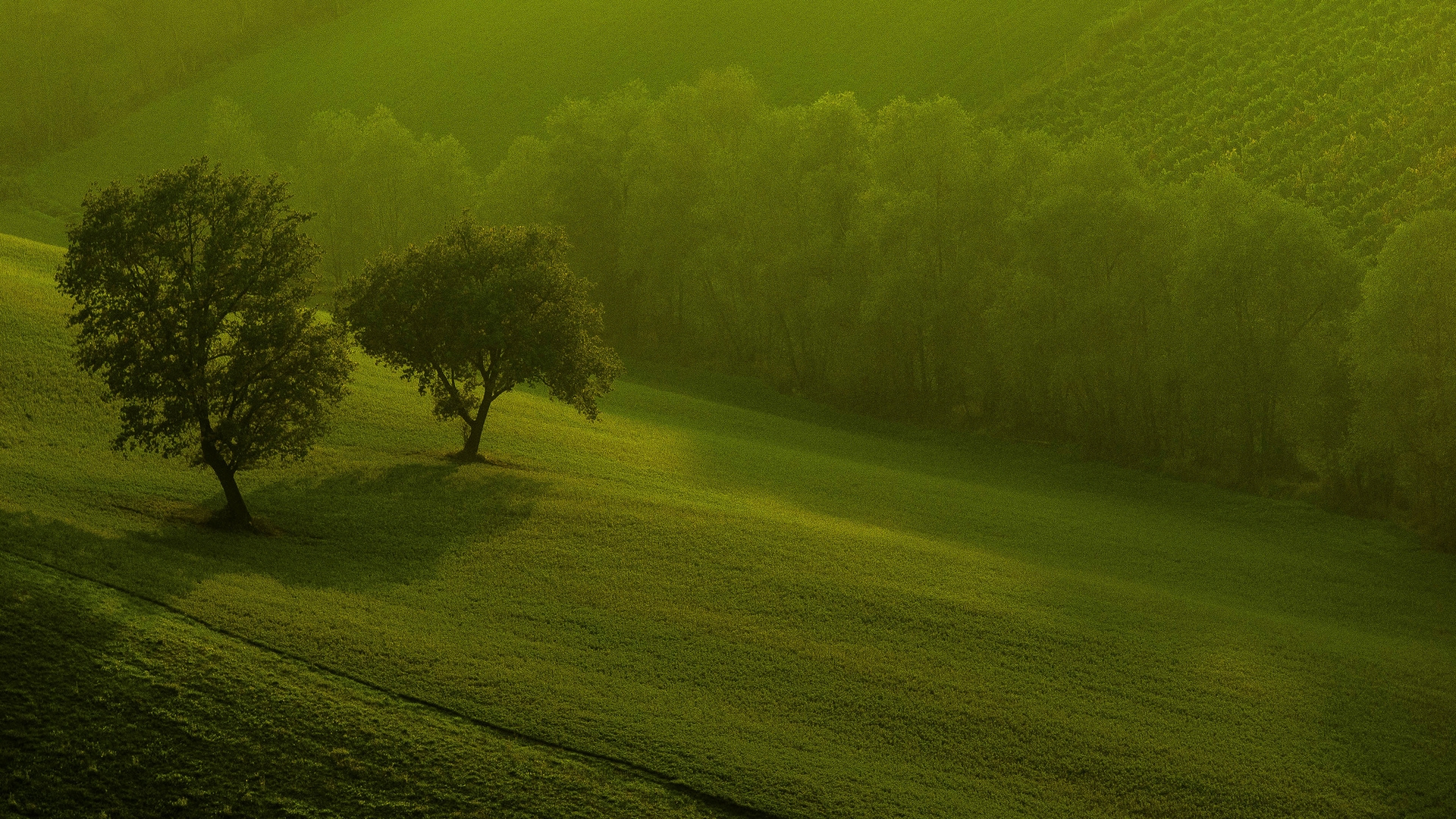 3d nature wallpaper for windows 8 hd pictures