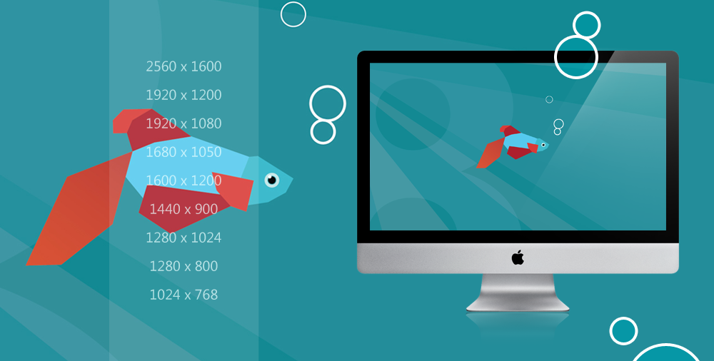Windows 8 Beta Fish wallpaper pack by Draganja on DeviantArt