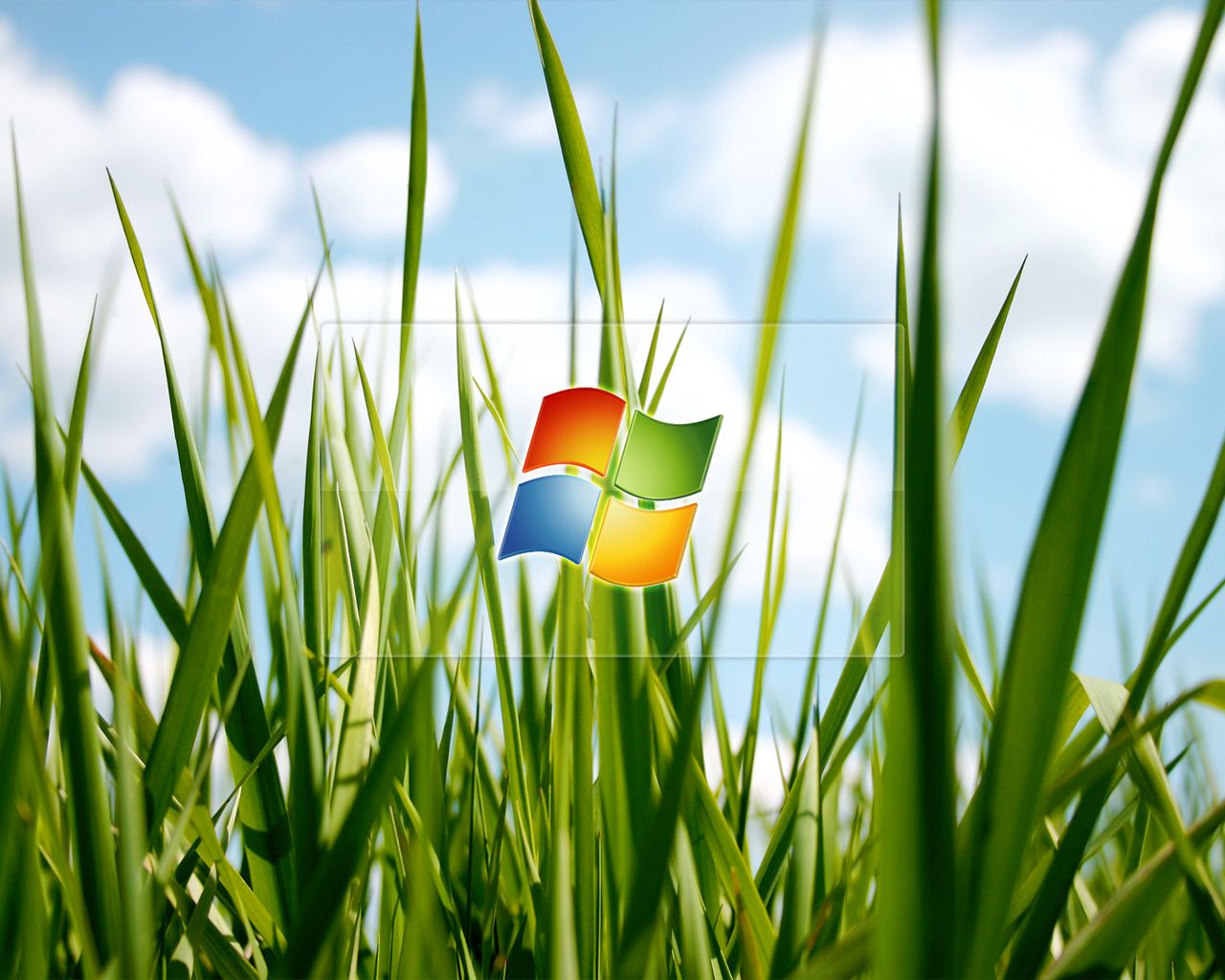 Windows Vista Crisp Grass Wallpaper Geekpedia