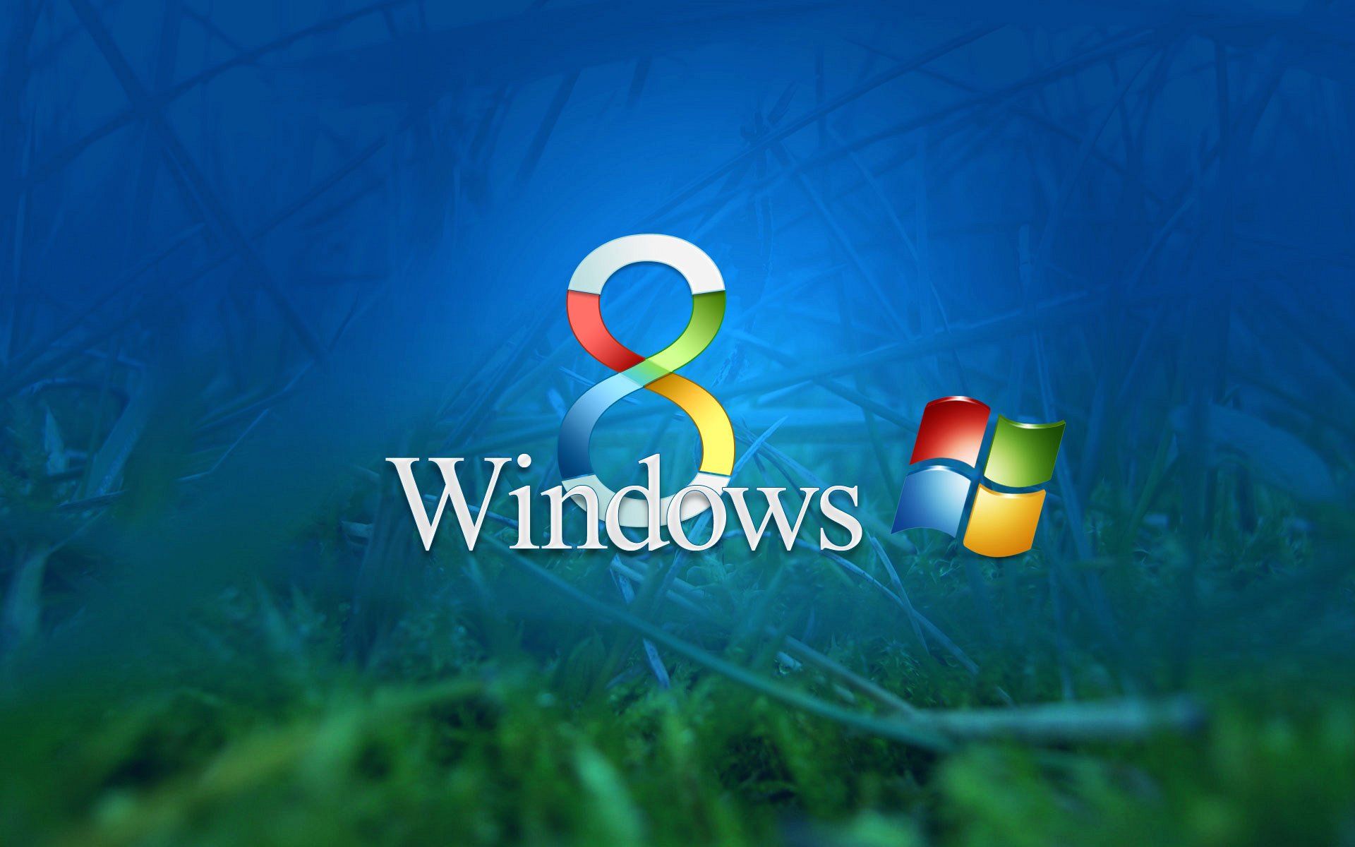 Wallpaper Grass Windows 8 - 1920 x 1200 - Operating System Android