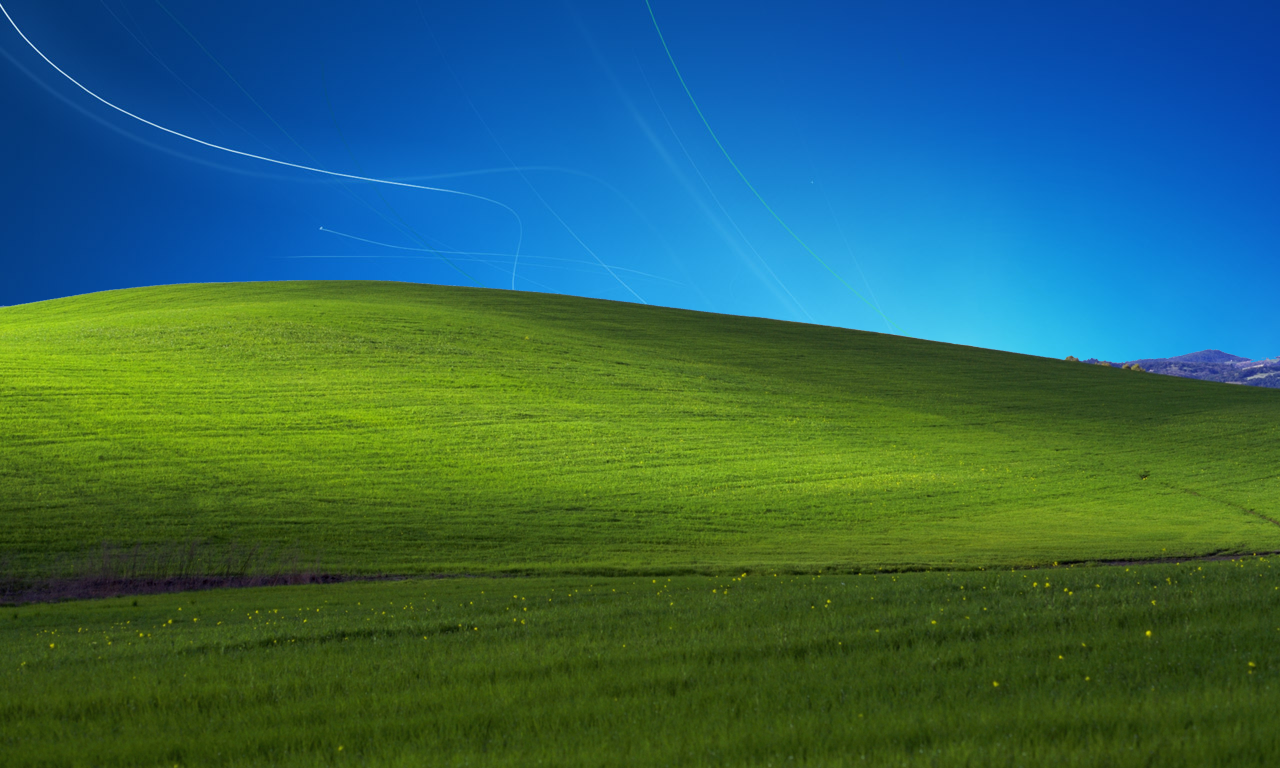 Windows Vista Grass Wallpaper Zoom Backgrounds