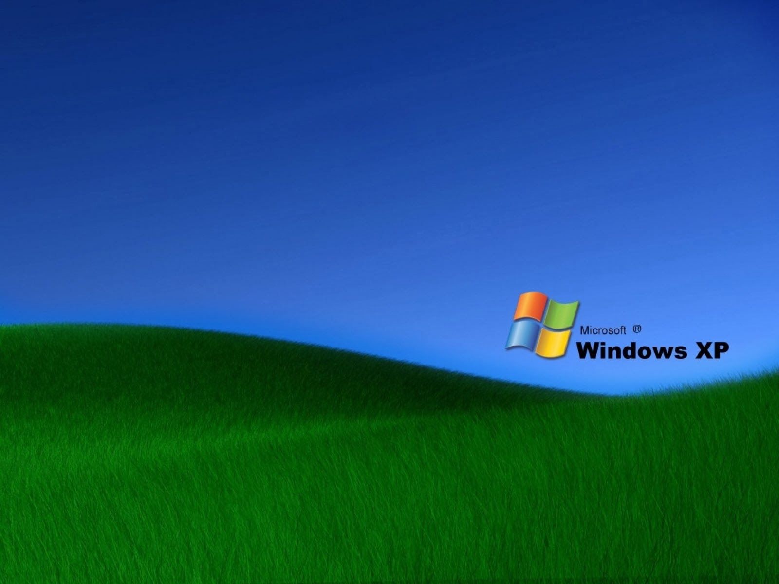 wallpapers: Grass Windows XP Wallpapers