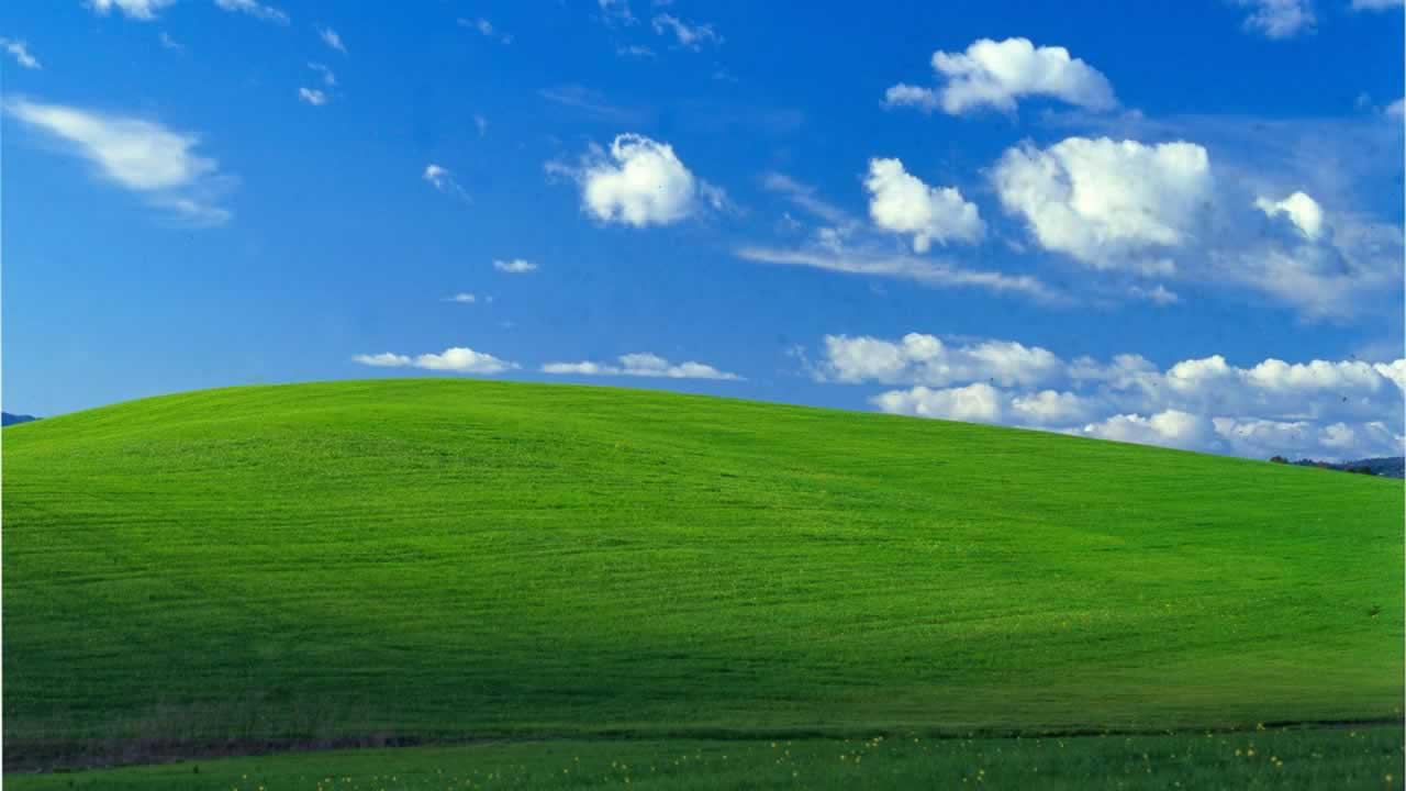 Iconic Windows XP background is photo of Sonoma County hillside