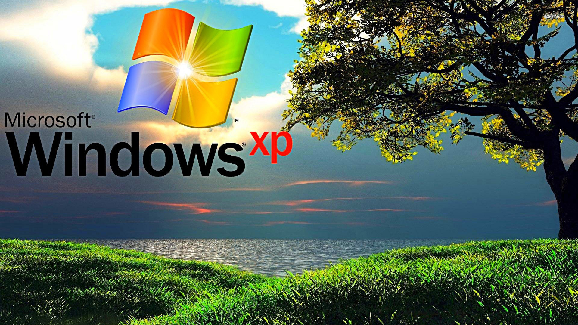 Windows XP Background / 1920x1080