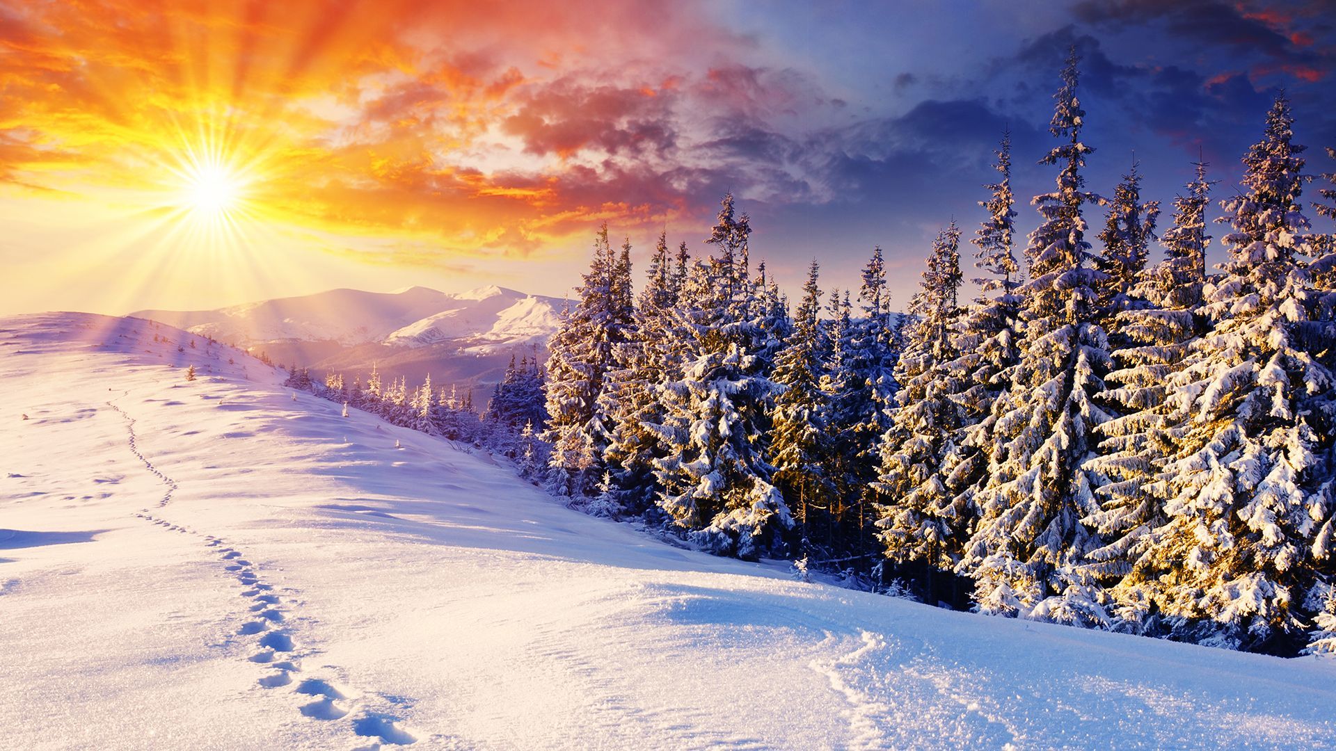 Winter Backgrounds HD
