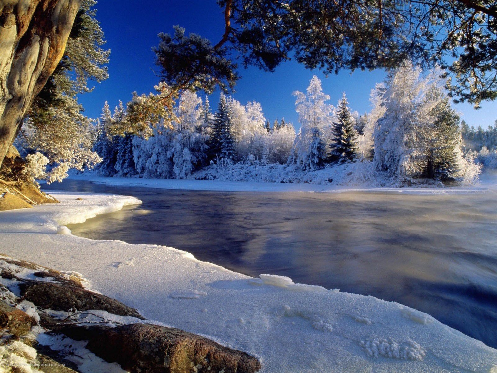 Landscape Astonishing Nature Quality Winter Background Picture