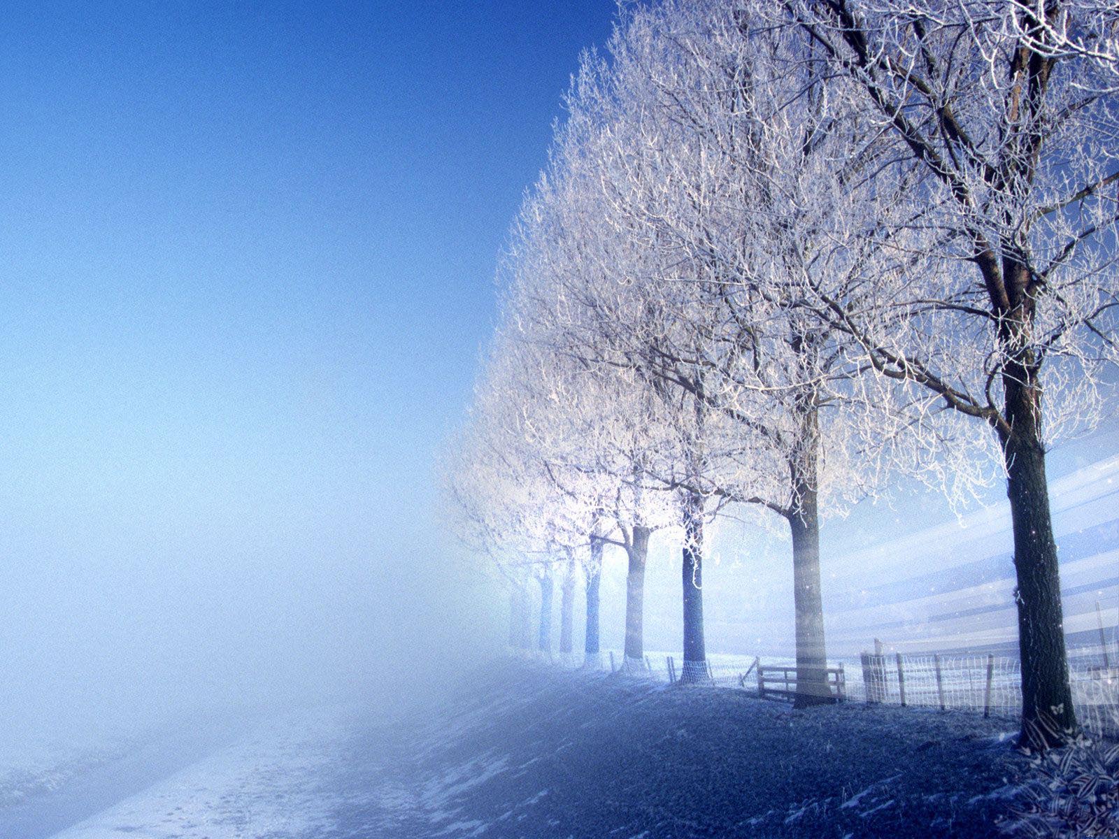 Landscape Astonishing Nature Quality Winter Background Picture