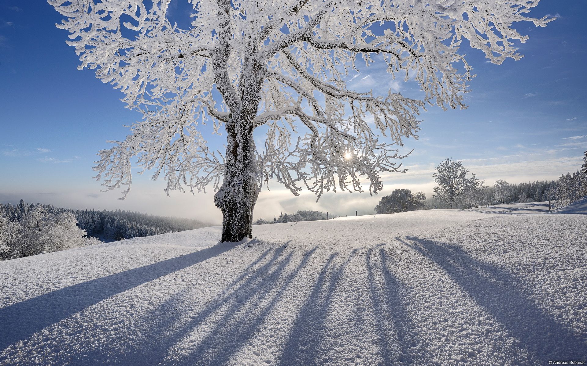 Winter and Christmas desktop backgrounds HD Backgrounds