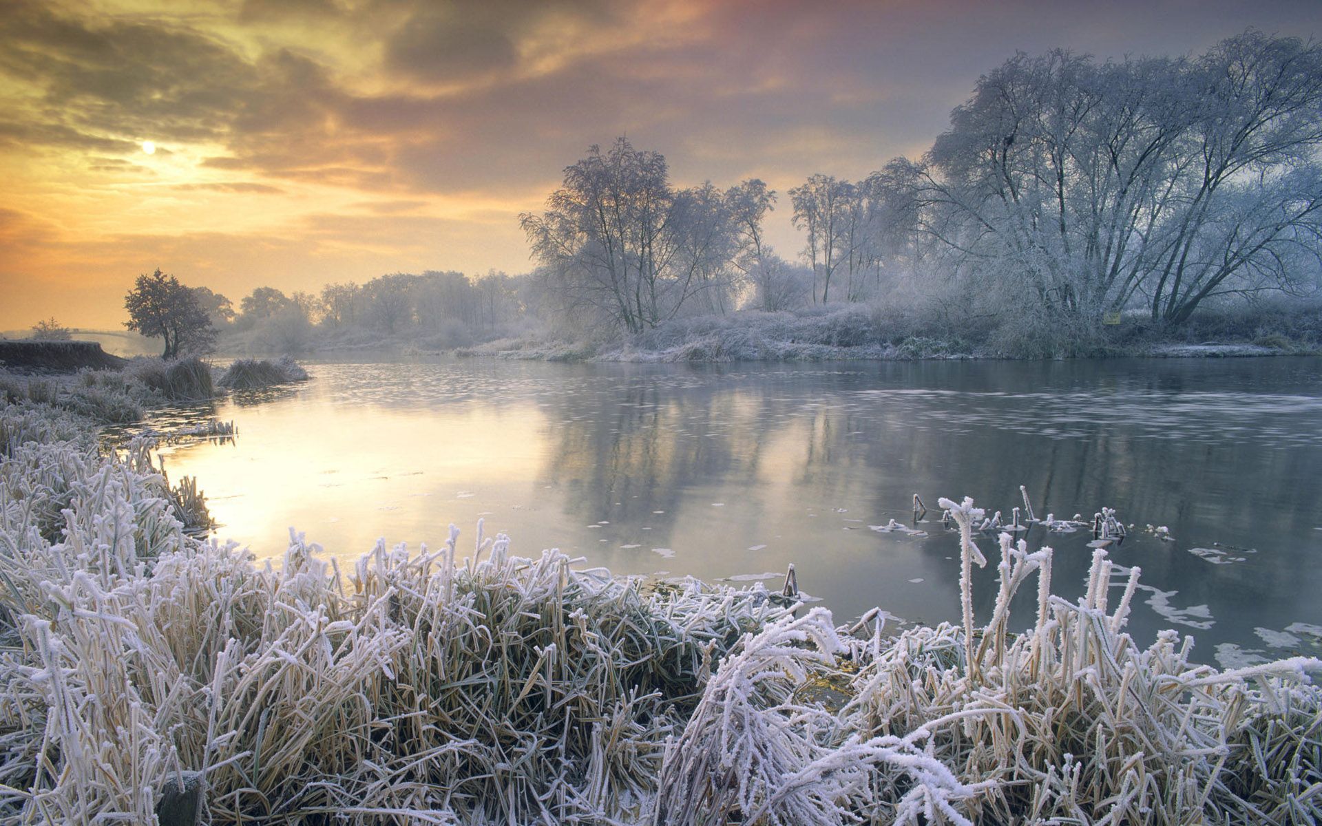 Gallery for - free beautiful winter wallpaper