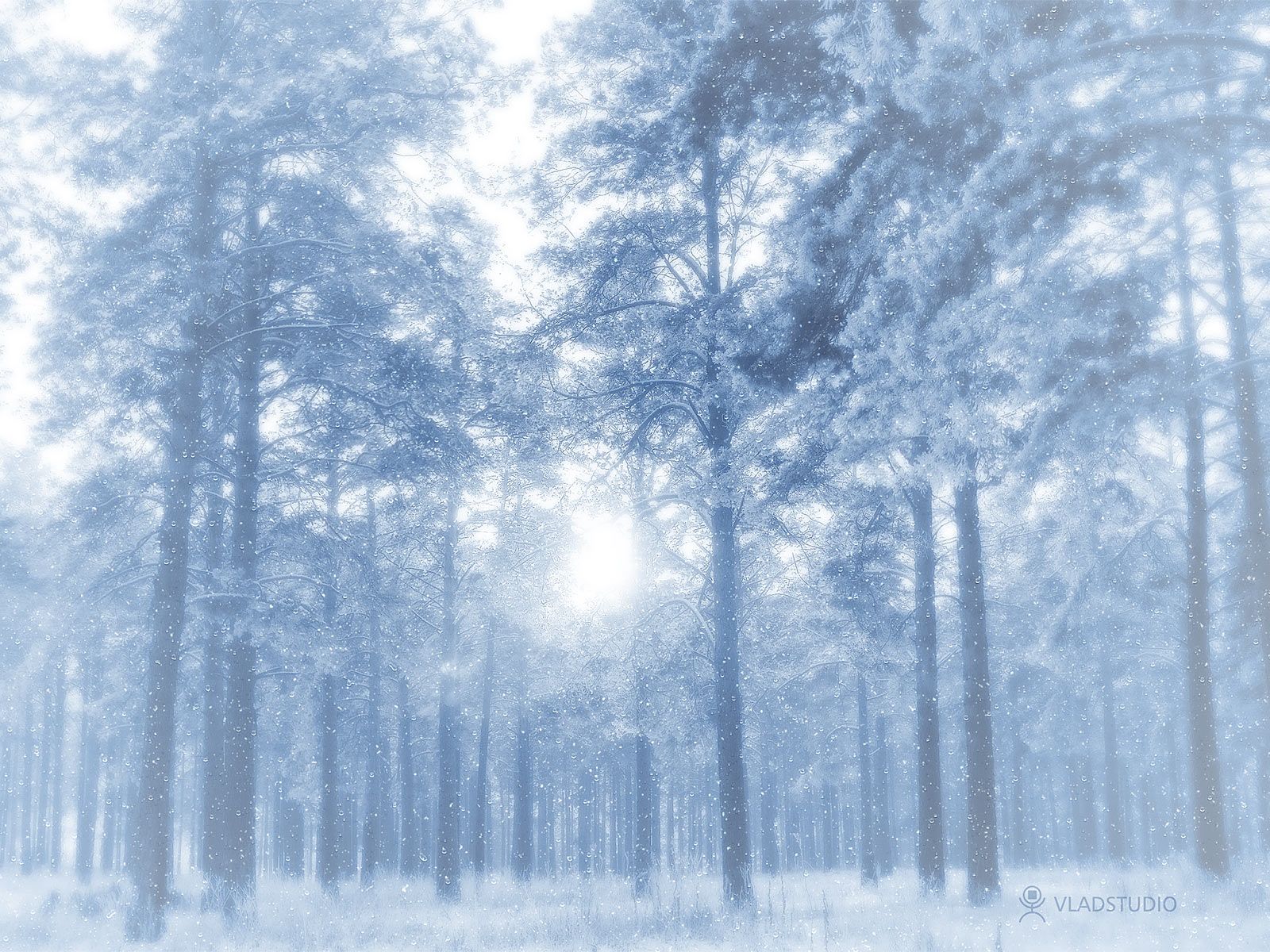 Free Winter Wallpapers For Computer