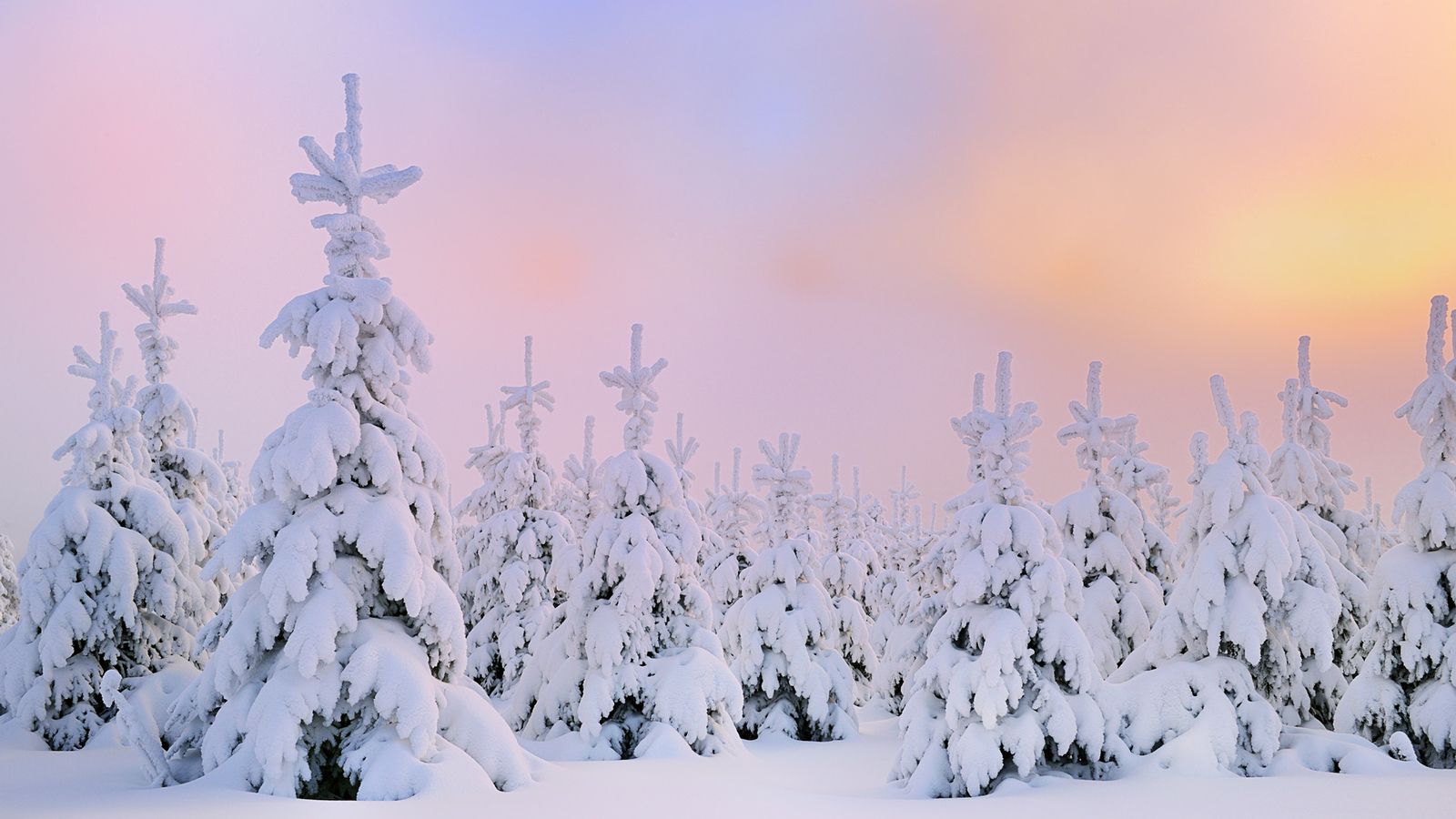Winter Snow Desktop Wallpaper HD 49817 - Dongxue Series