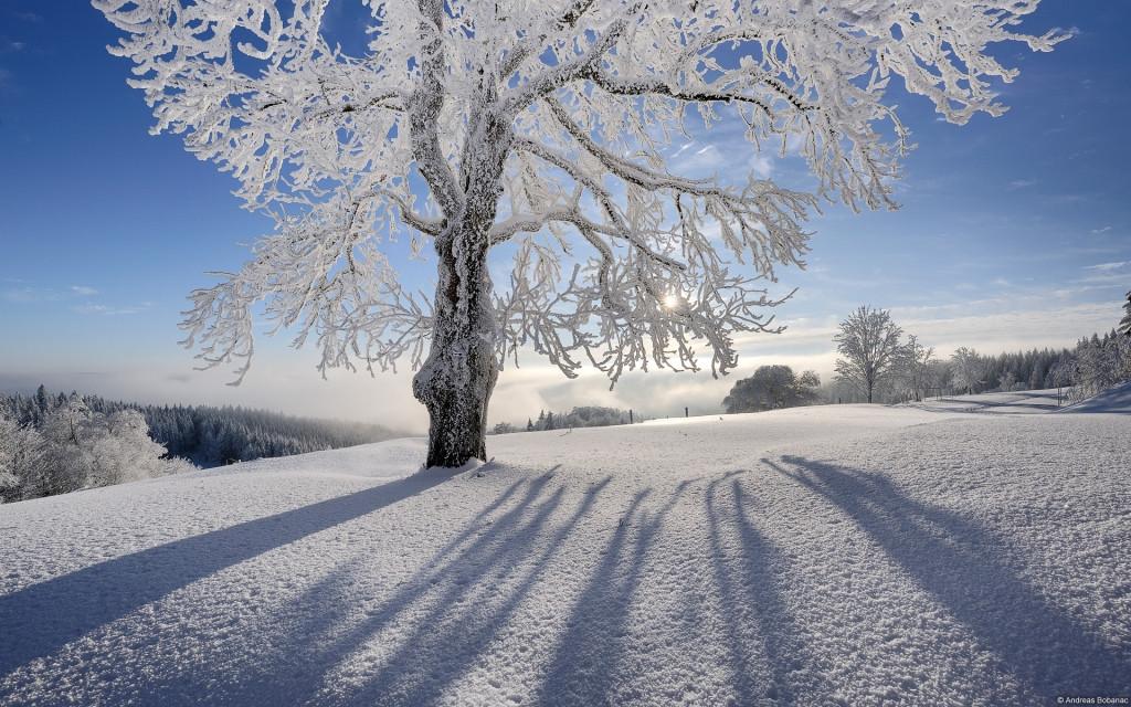 Winter Computer Backgrounds Background Images HD Wallpapers Range
