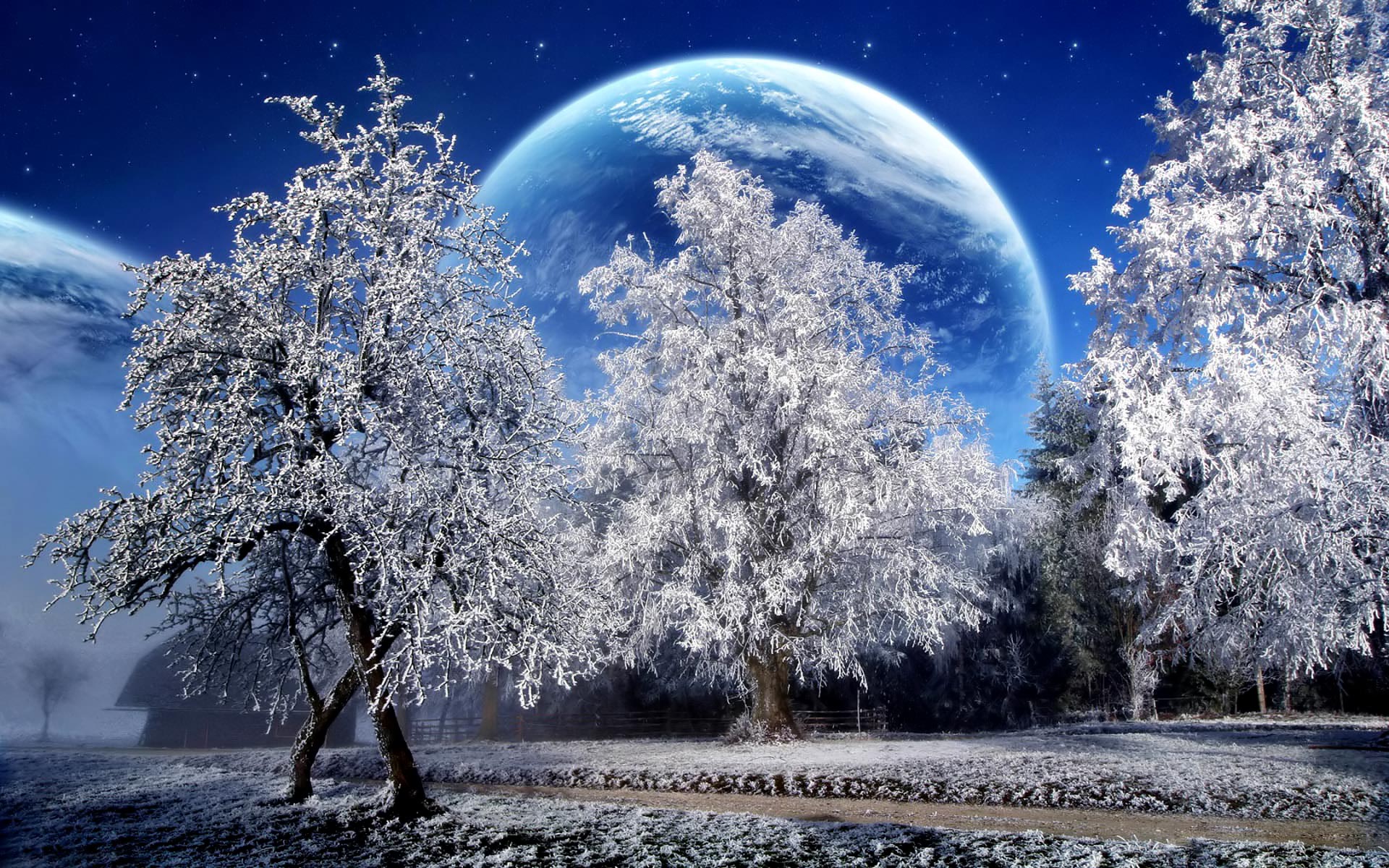 Free Winter Backgrounds Backgrounds
