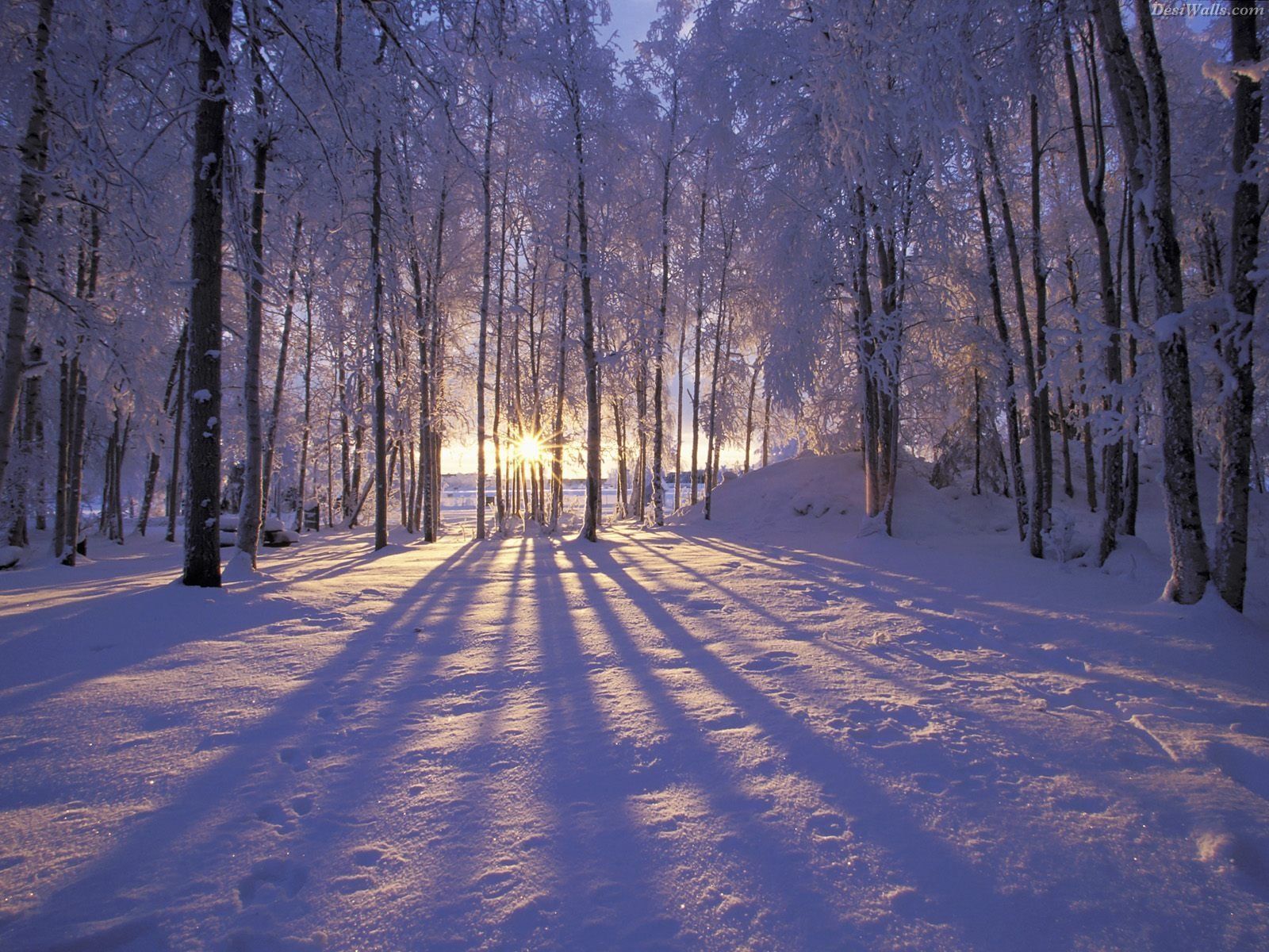 2 winter sunset alaska