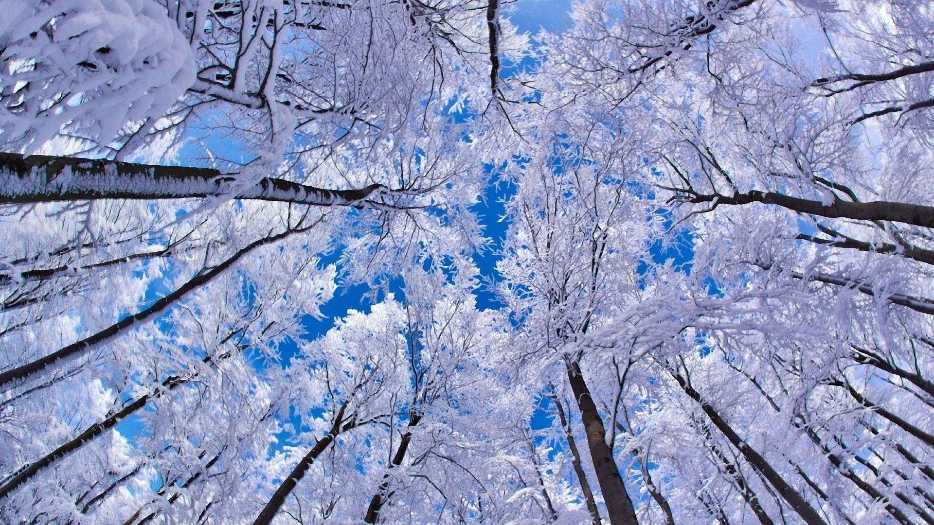 Blue Winter Desktop Wallpaper, Blue Winter Background Cool