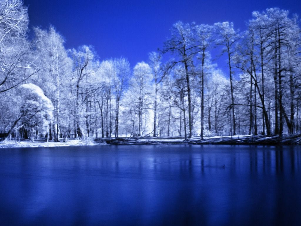 Blue Winter Background One HD Wallpaper Pictures Backgrounds