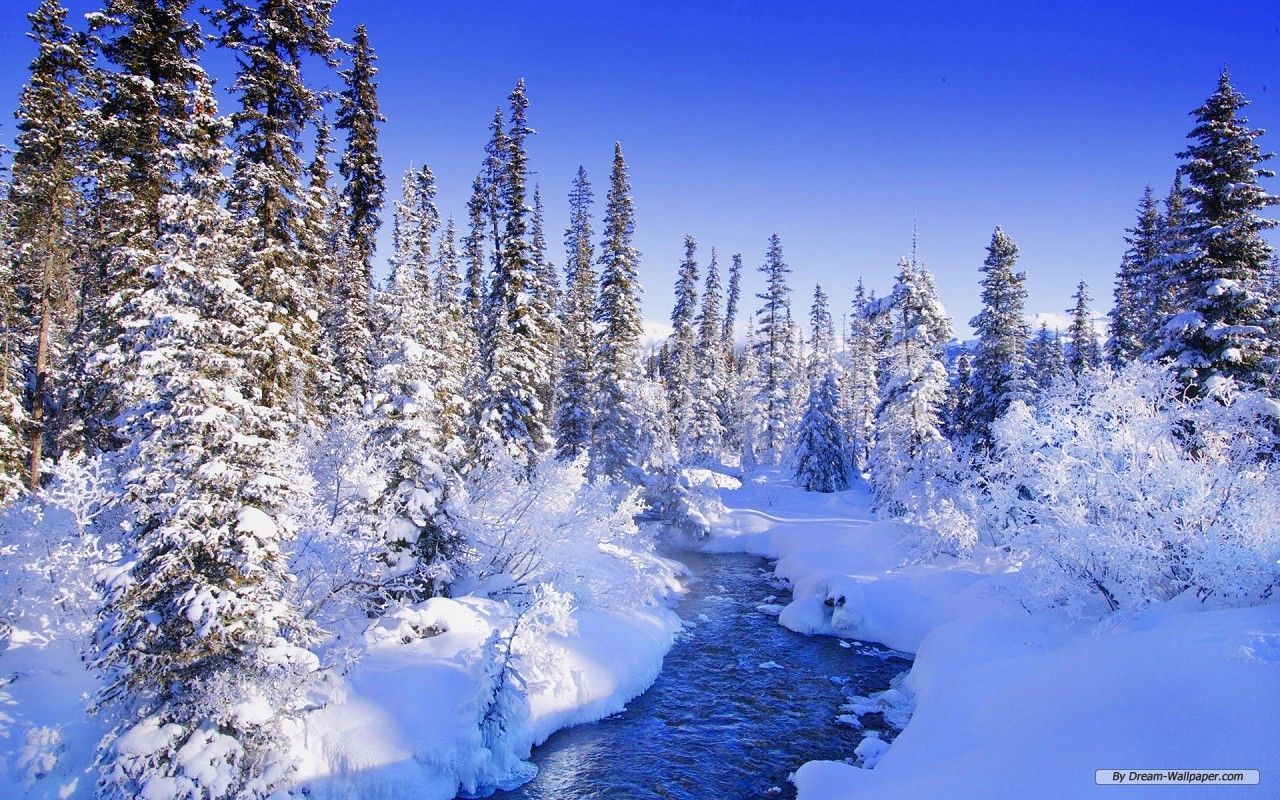 Free Wallpaper - Free Nature wallpaper - Winter Wonderland 10