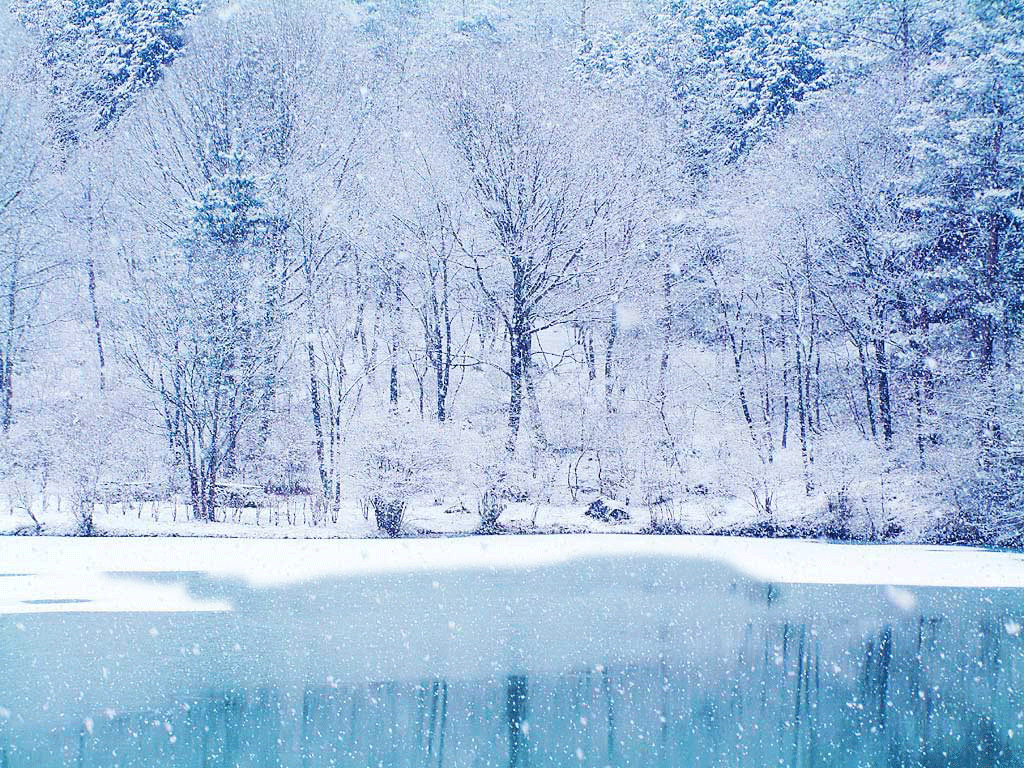 Winter Chirstmas Snowfalling Ice Trees Lake Scenes Wallpapers Desktop Background Free Image