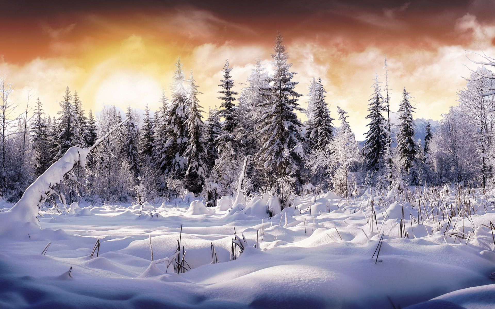 Snow Winter HD Desktop Wallpapers