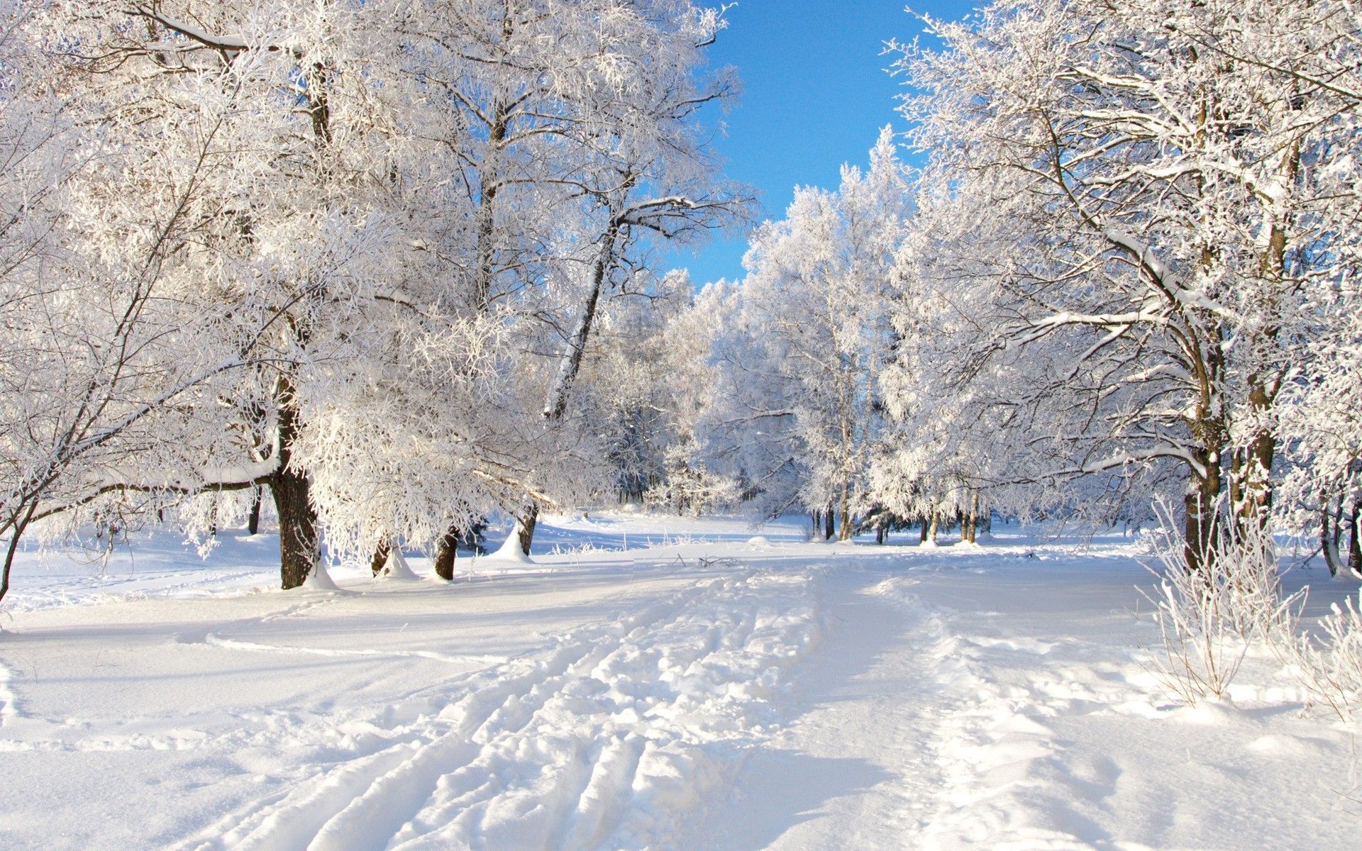Winter Wallpapers HD HD Wallpapers Fit
