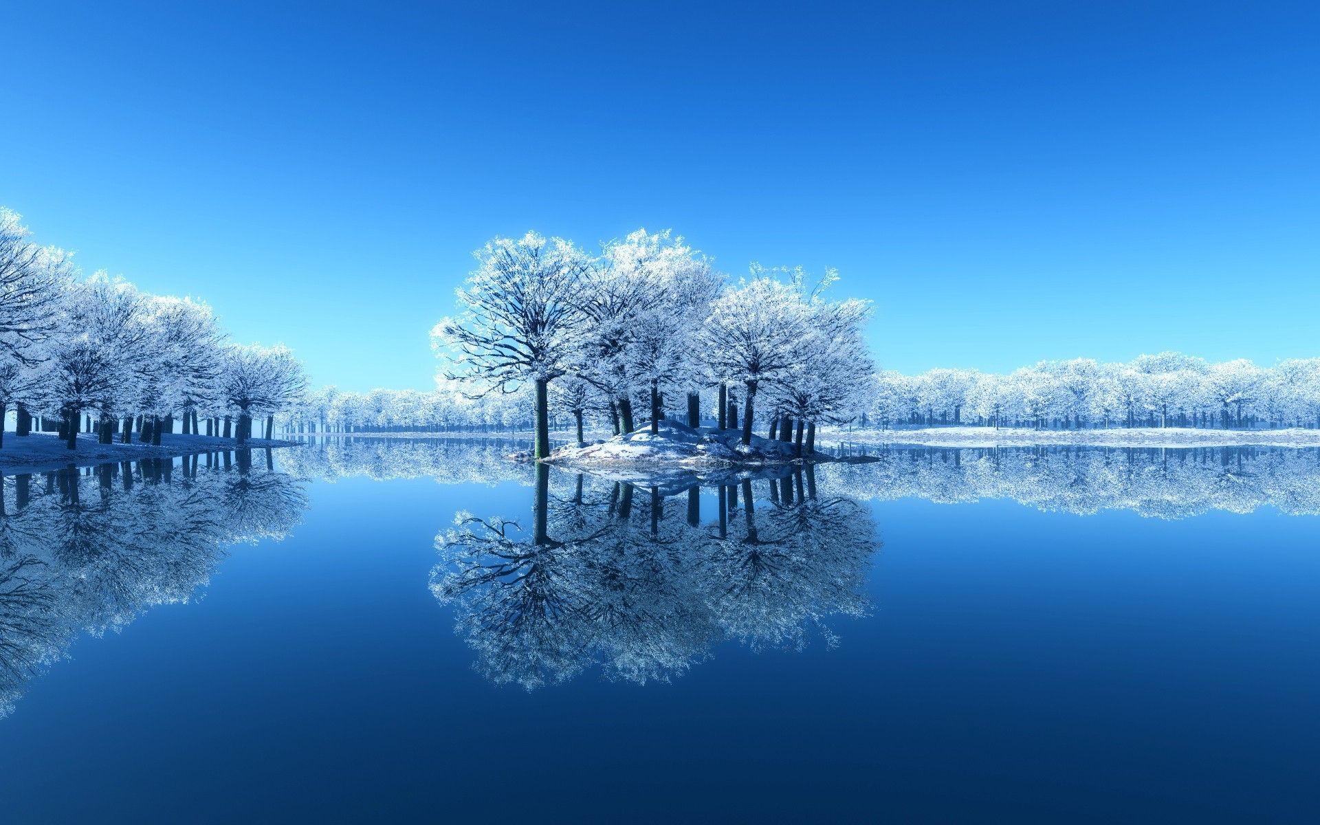Nature Winter Tree in Lake HD Desktop Wallpapers