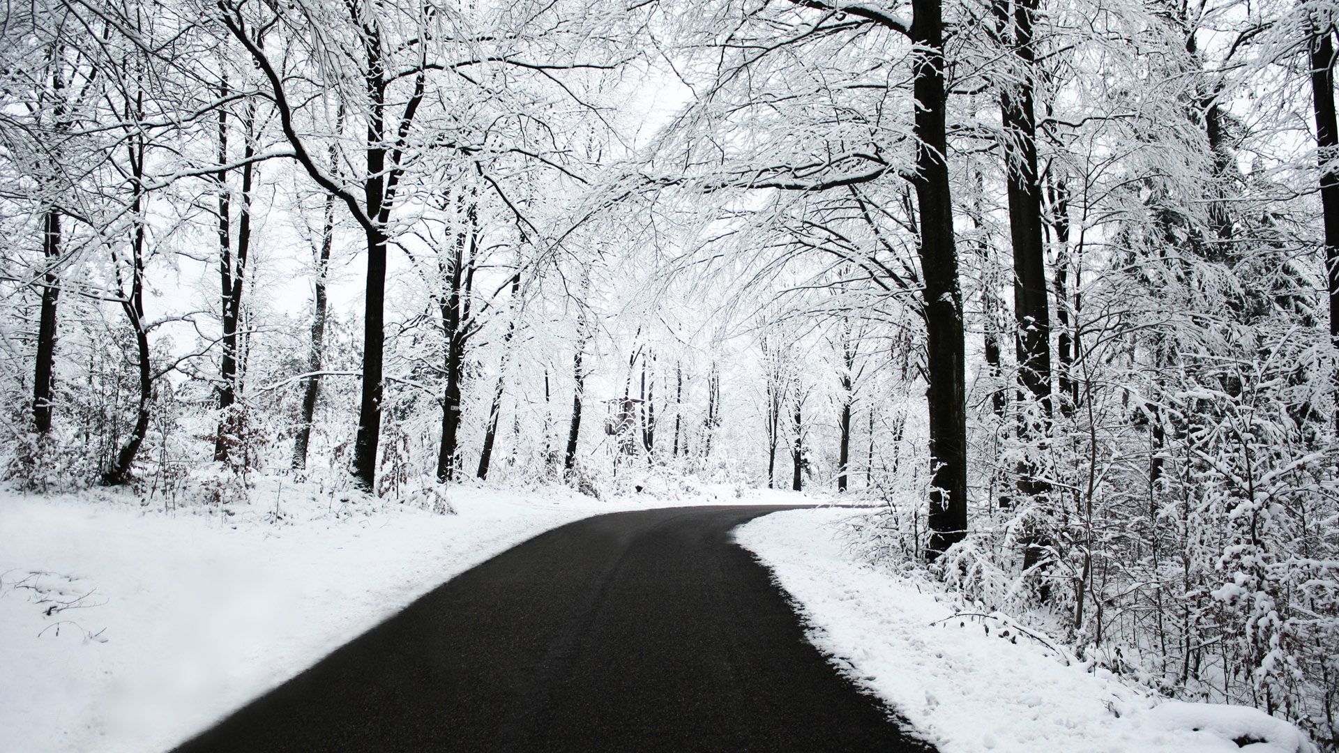 Winter Road Wallpapers HD Backgrounds
