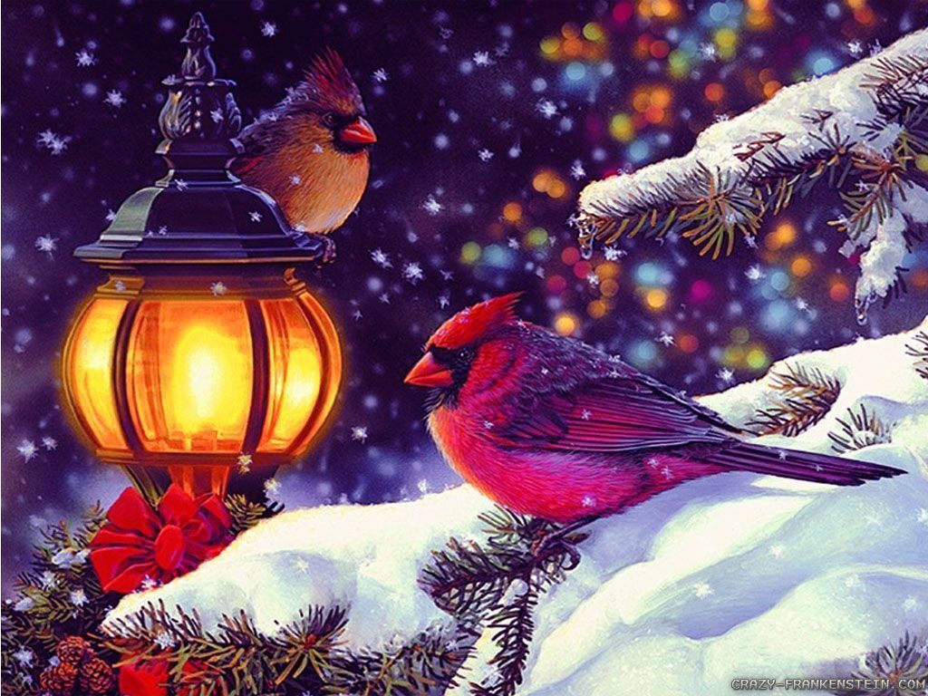 Winter Holiday Scene - wallpaper