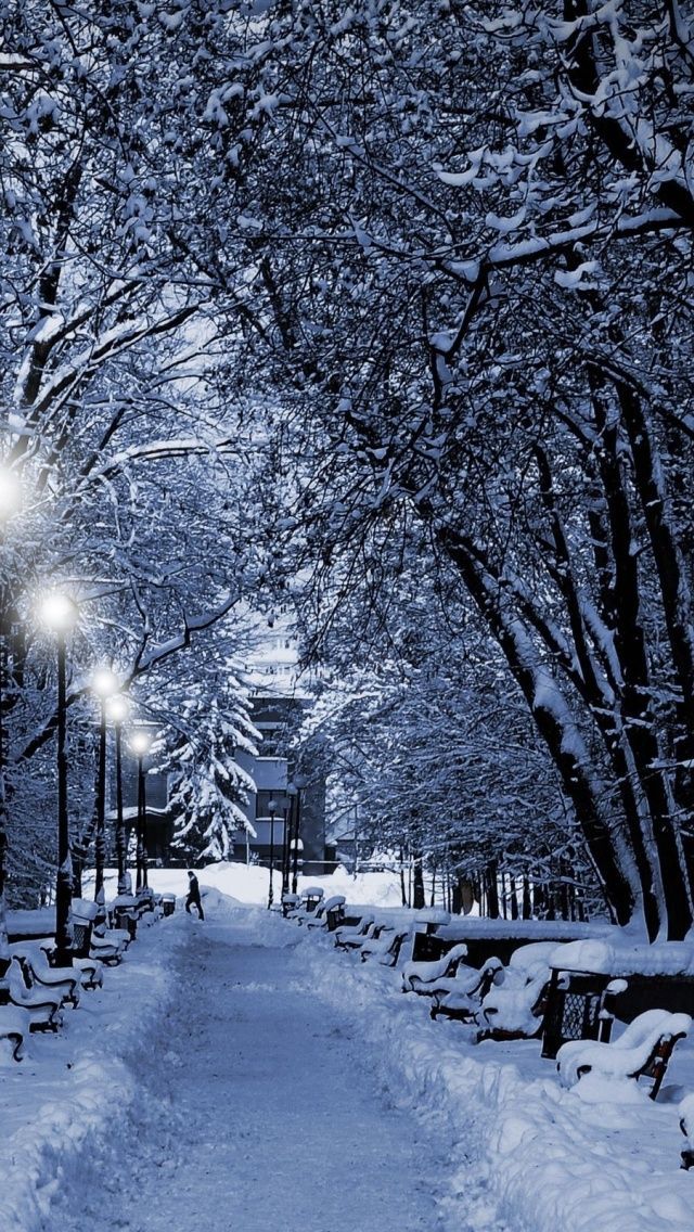 640x1136 Winter Trees Lamps & Way Iphone 5 wallpaper