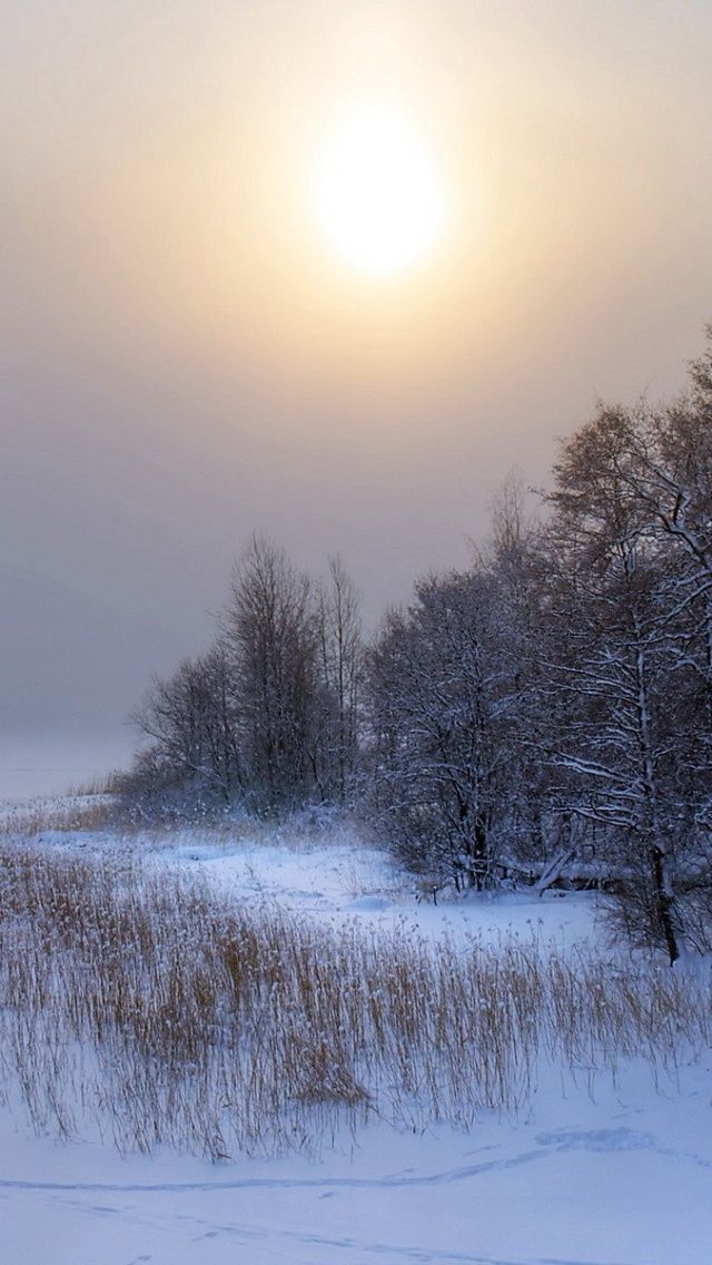 640x1136 Winter Landscape Iphone 5 wallpaper