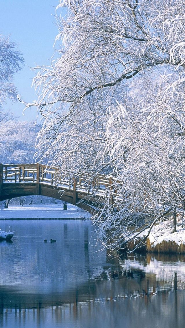 640x1136 Winter Scenery Iphone 5 wallpaper