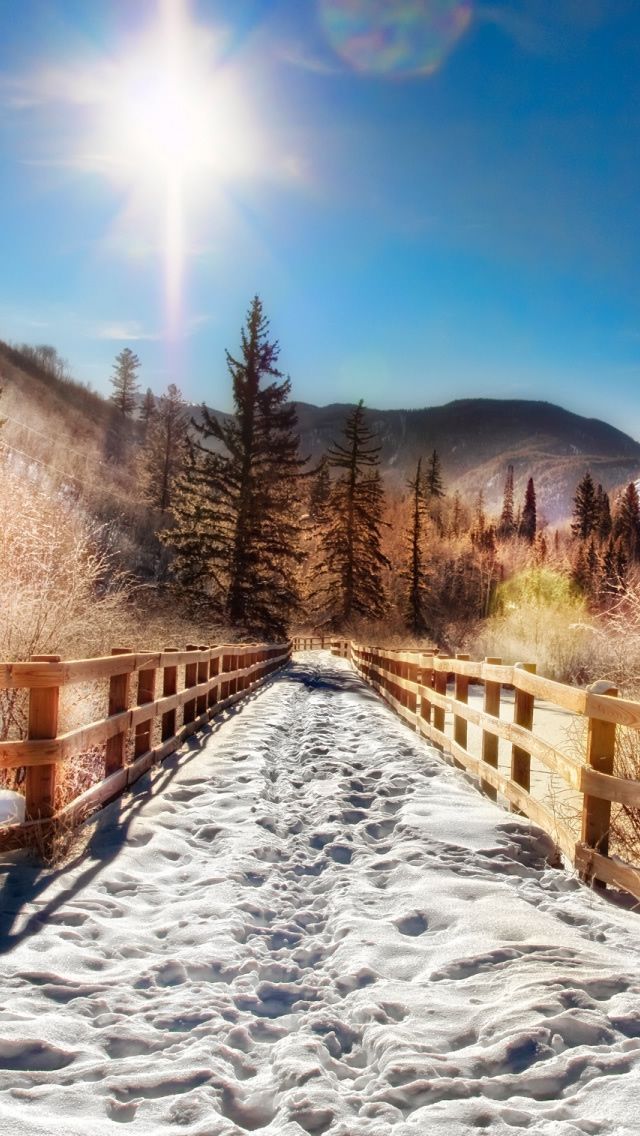 Aspen Trail Winter iPhone 5s Wallpaper Download iPhone