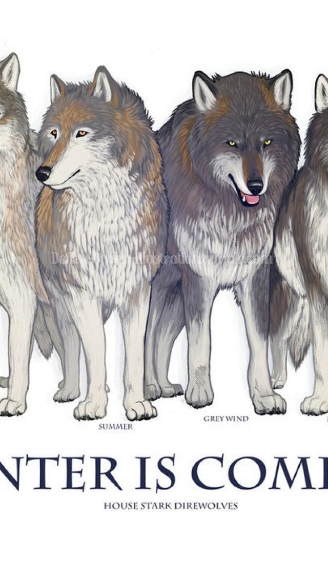 Featured image of post Ghost Dire Wolf Wallpaper Browse millions of popular 3d wallpapers and ringtones on zedge and